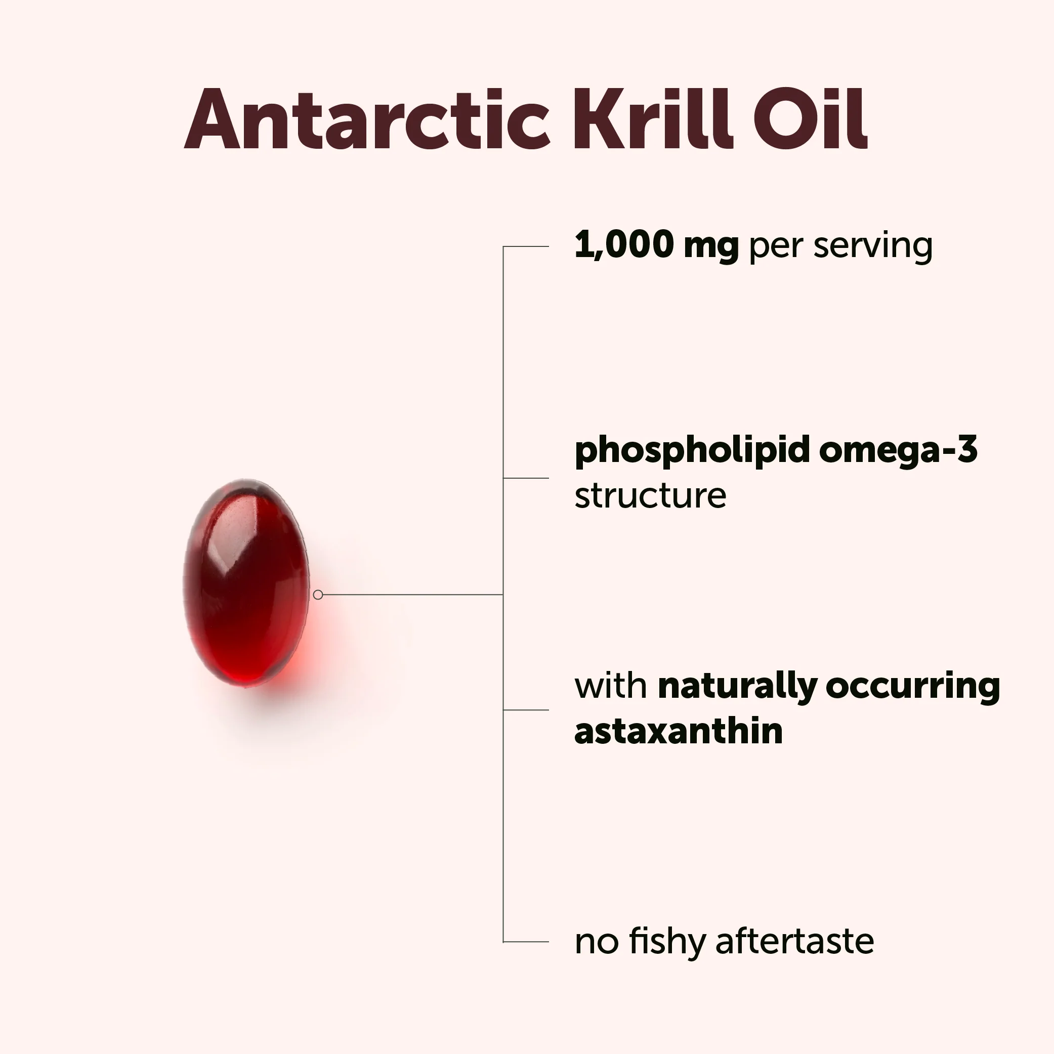 Micro Ingredients Antarctic Krill Oil 1000mg with Omega 3 - Image 7