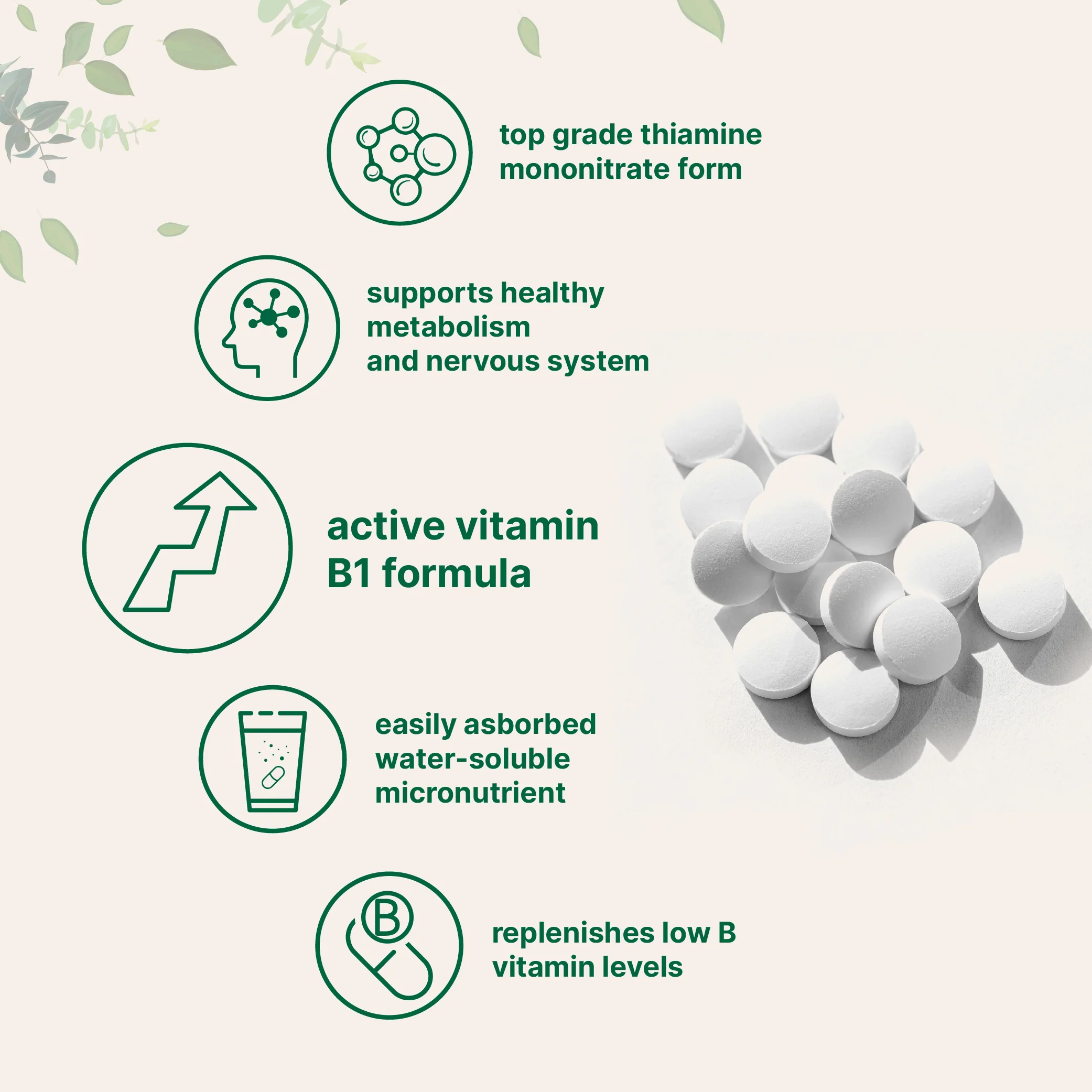 Micro Ingredients Vitamin B1 Thiamine Tablets - Image 3