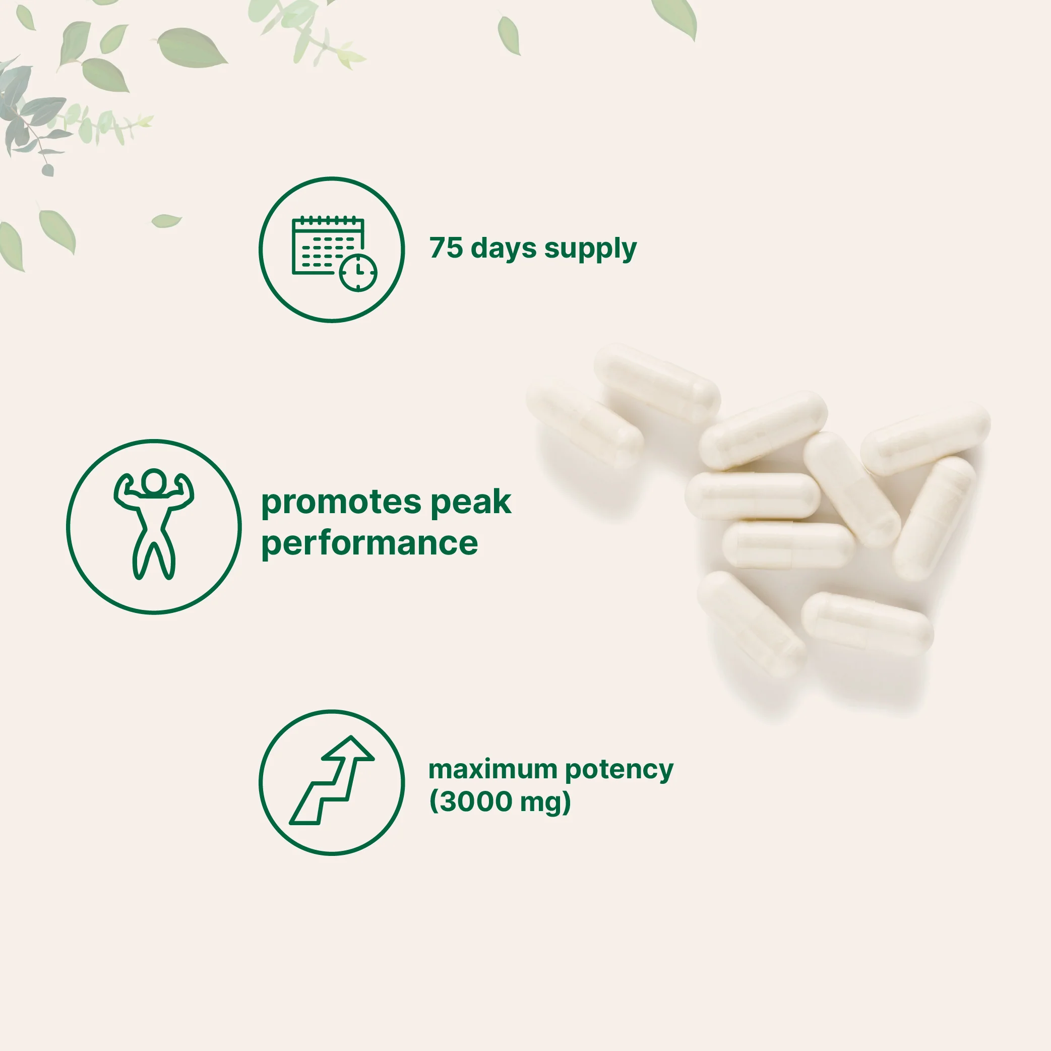 Micro Ingredients D-Aspartic Acid DAA Capsules, 300 counts - Image 3