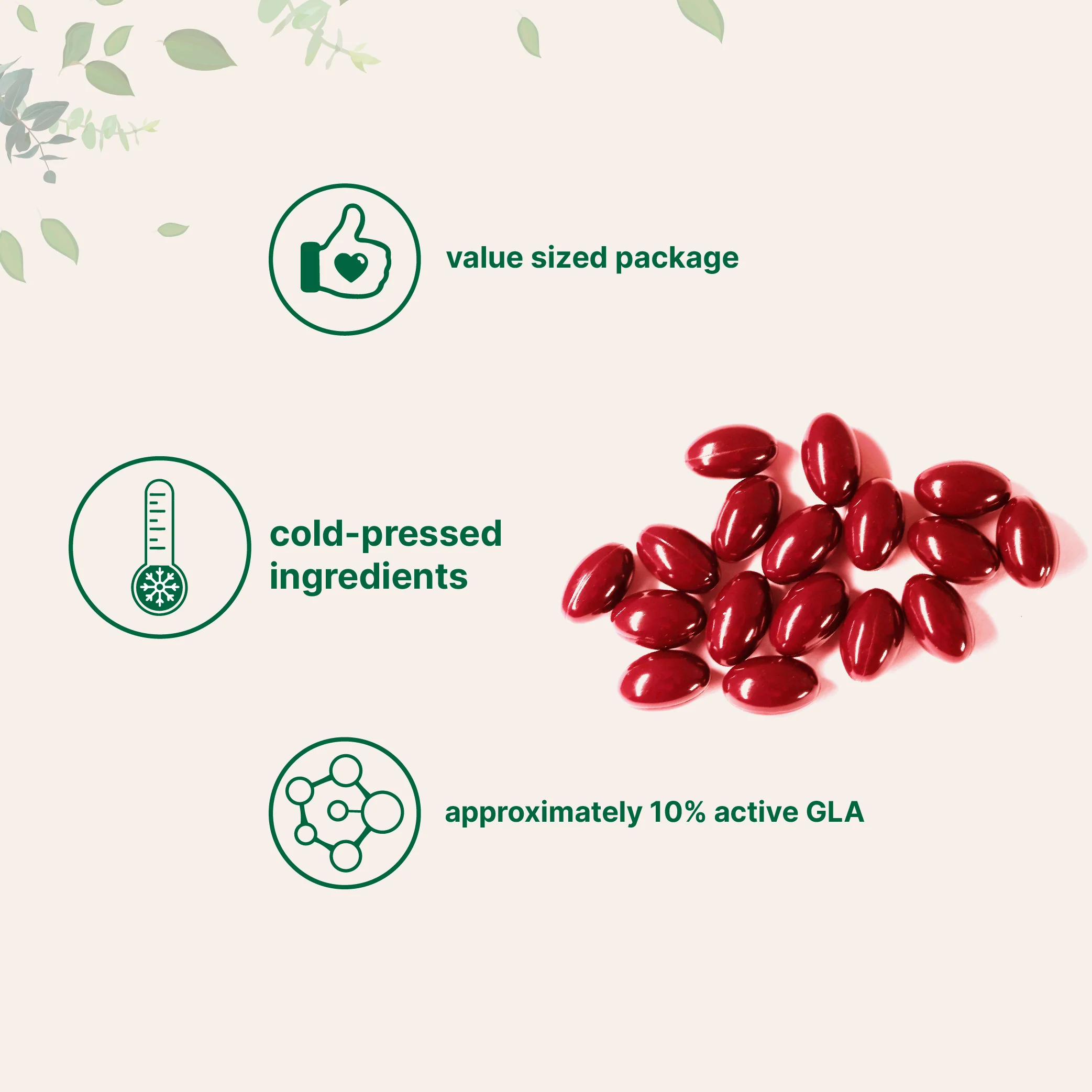 Micro Ingredients Evening Primrose Oil Softgels - Image 3