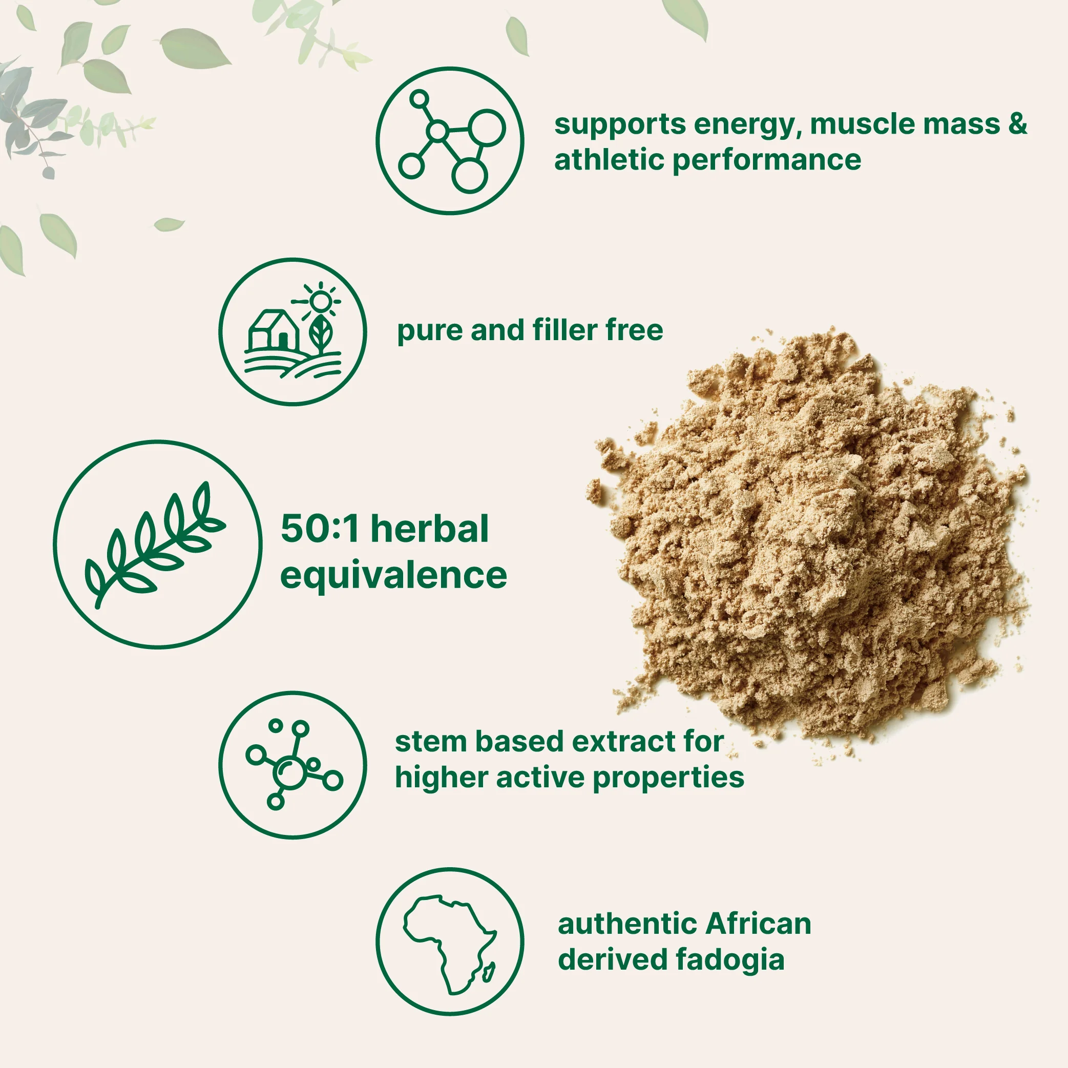 Micro Ingredients Fadogia Agrestis 50:1 Stem Extract Powder, 4oz - Image 3