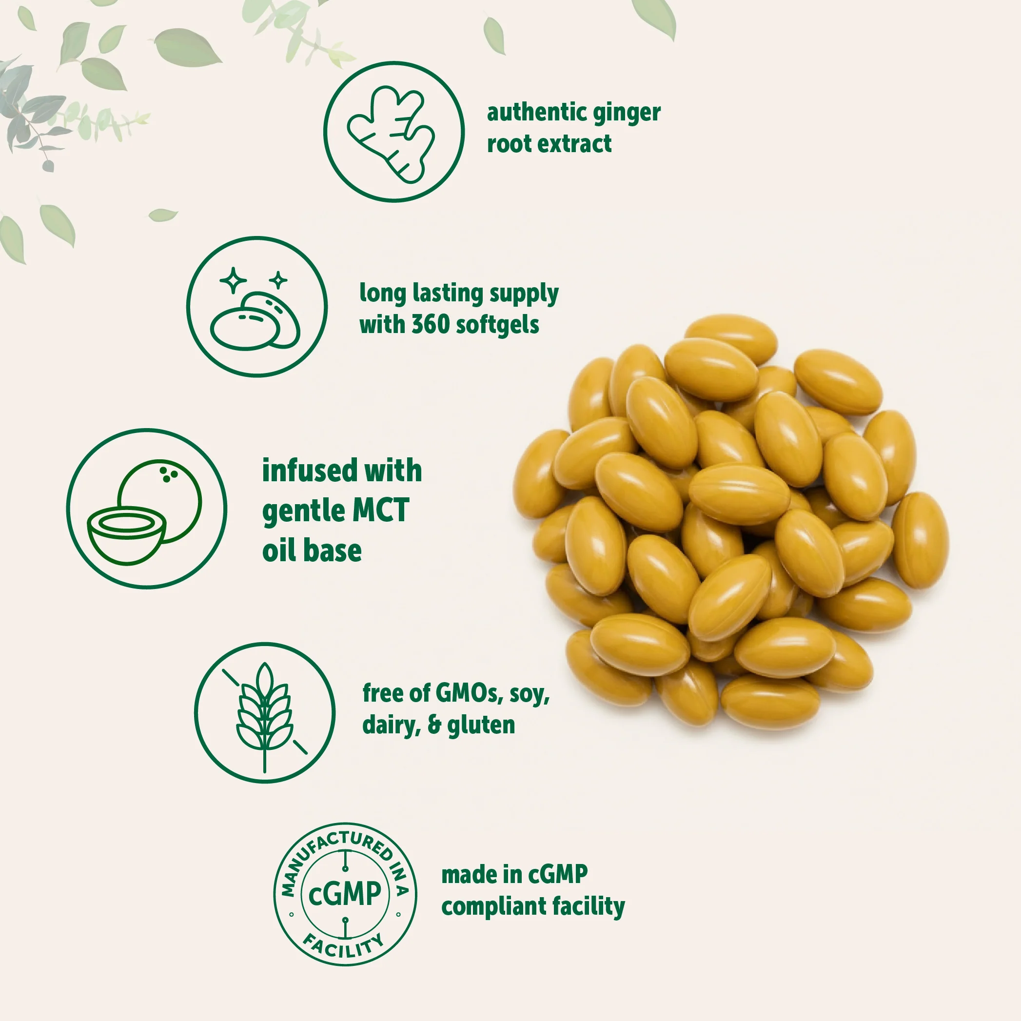 Micro Ingredients Ginger Root with MCT Oil, 360 Softgels - Image 3
