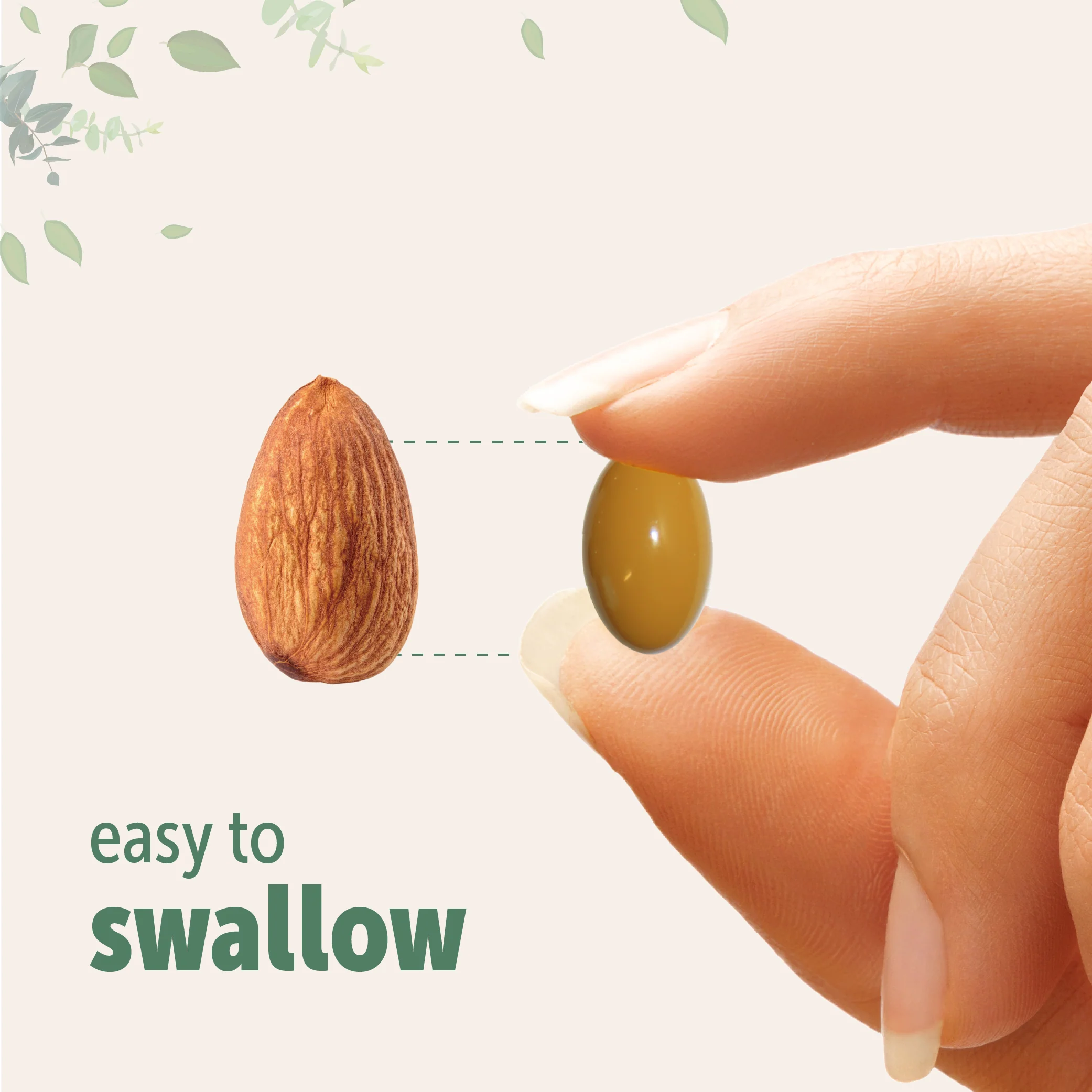 Micro Ingredients Ginger Root with MCT Oil, 360 Softgels - Image 5