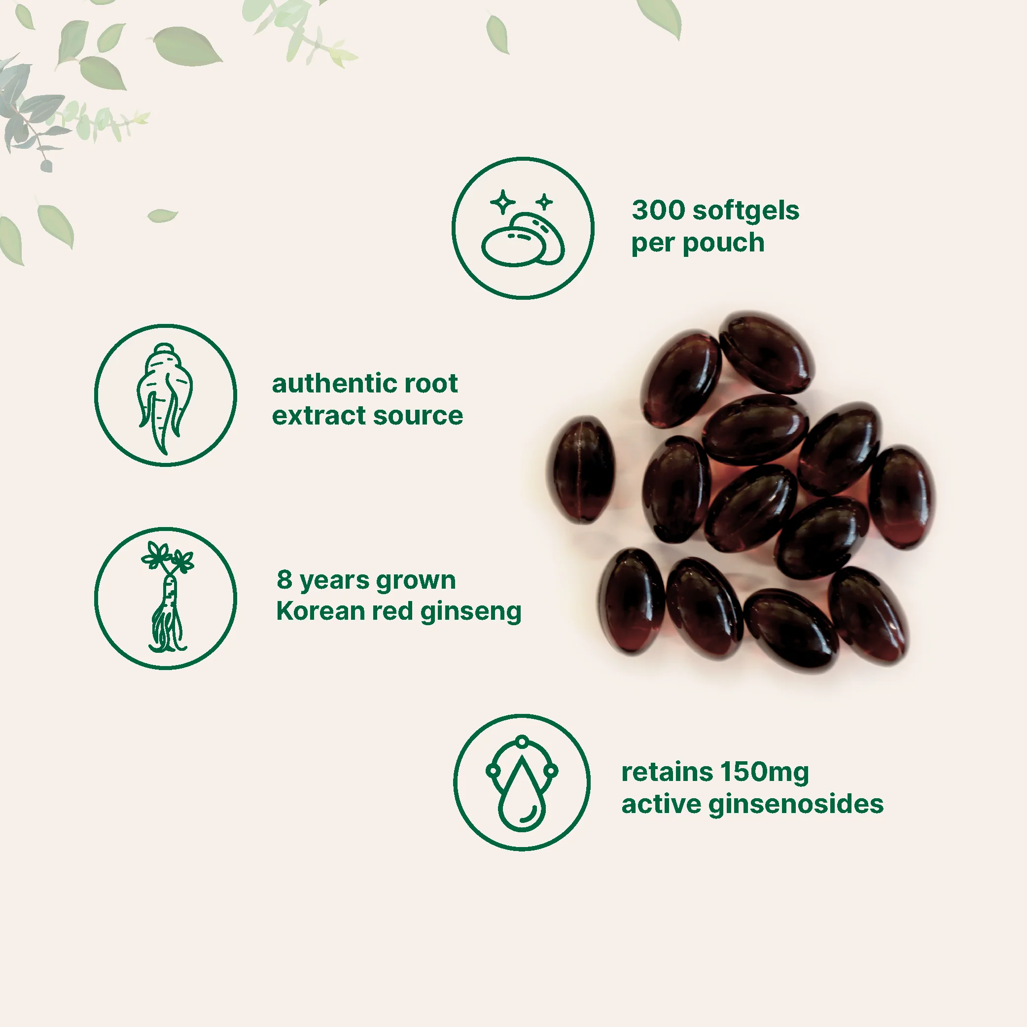 Micro Ingredients Panax Ginseng, 300 Softgels - Image 3