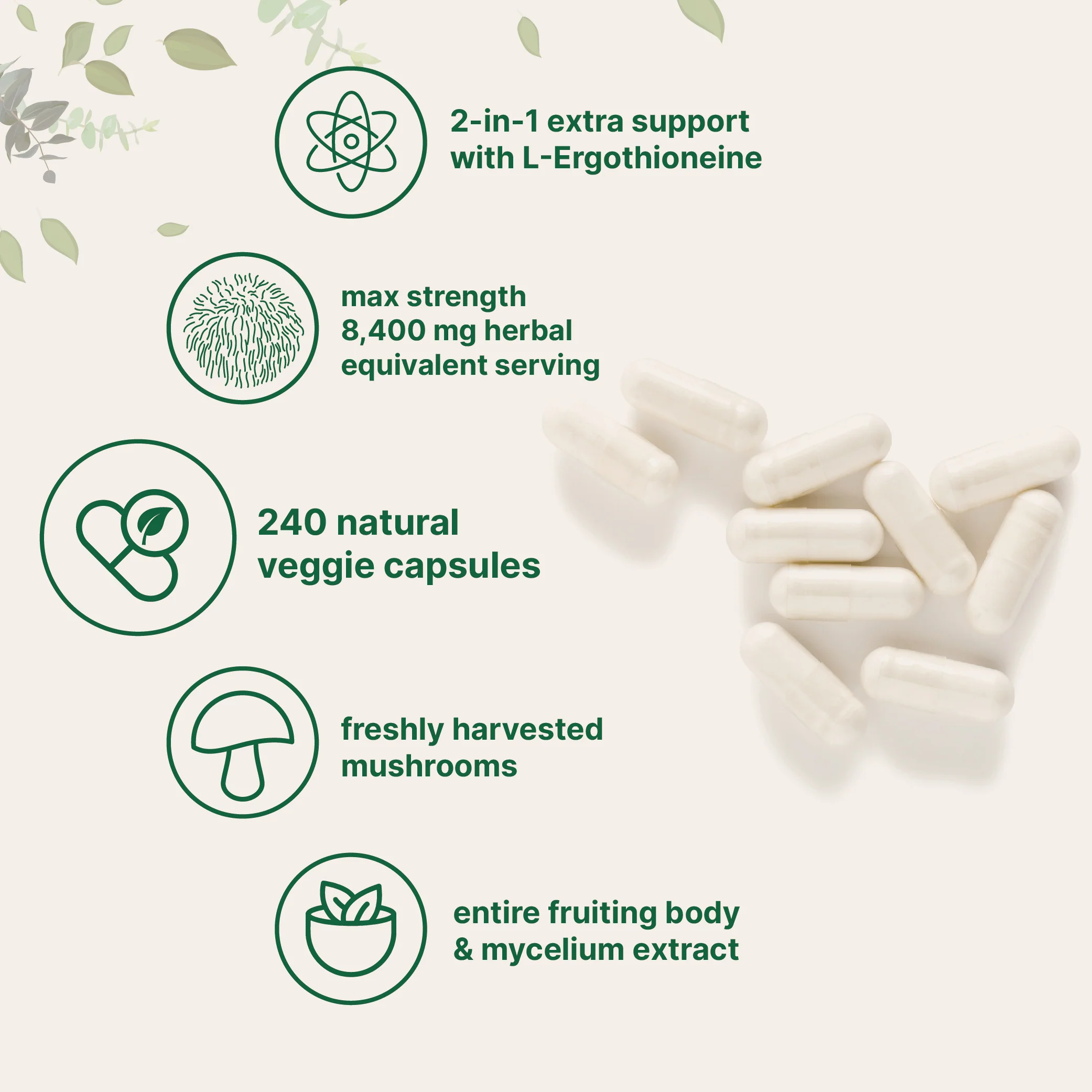Micro Ingredients Lions Mane with L-Ergothioneine | 240 Vegan Capsules, 8,400 mg Herbal Equivalent, Ultra Strength Lions Mane Supplement - Image 3