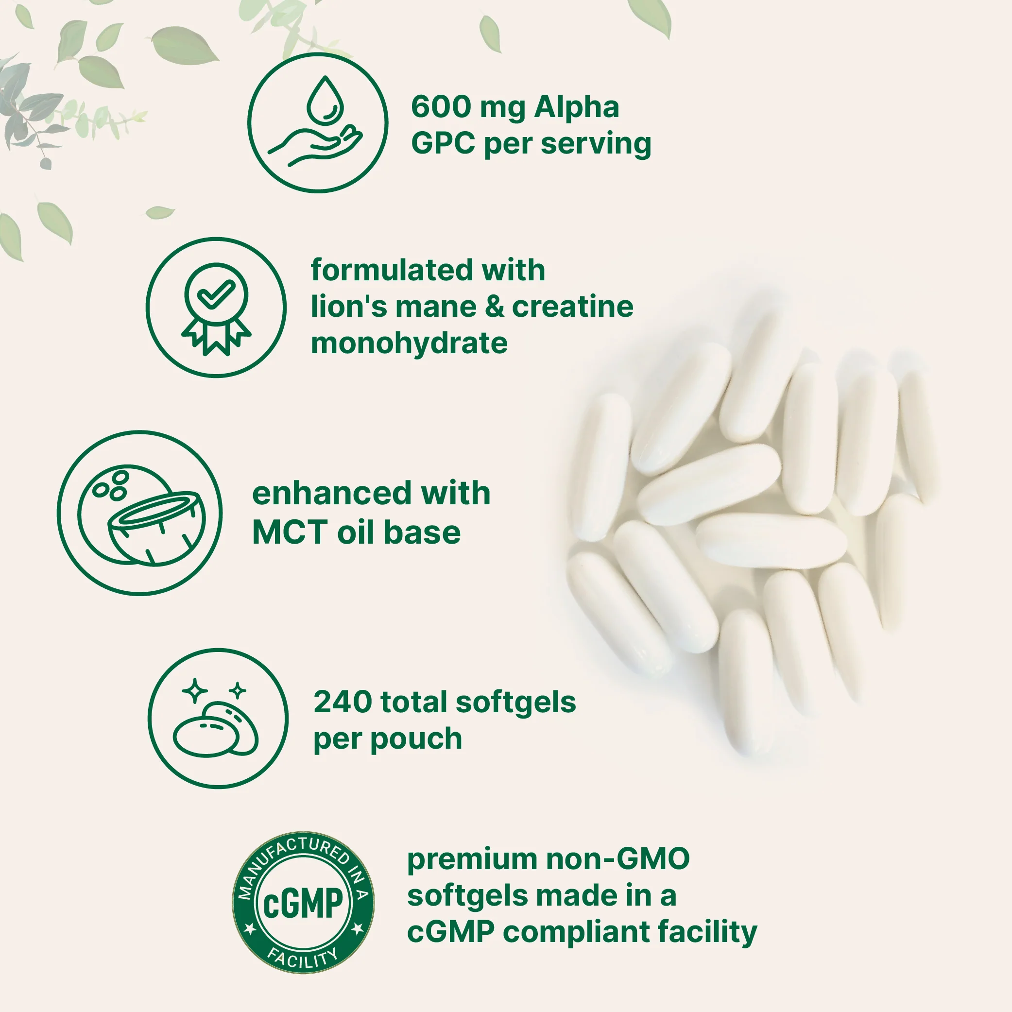 Micro Ingredients Alpha GPC 600mg with MCT Oil, 240 Softgels - Image 3