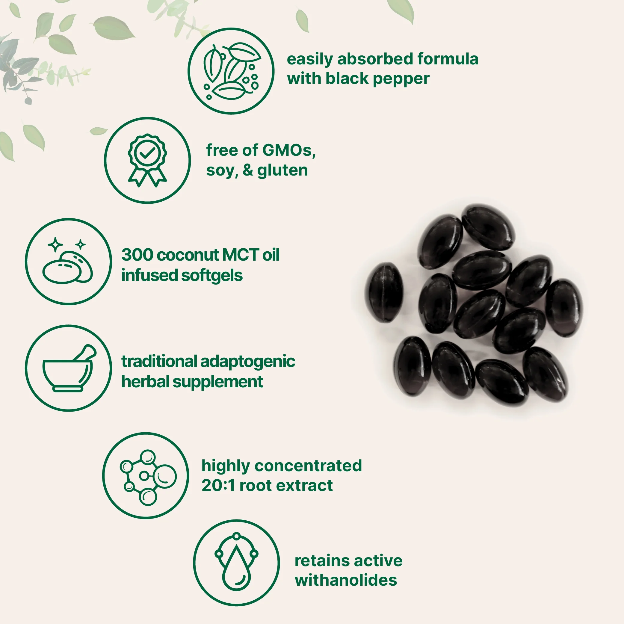 Micro Ingredients Ashwagandha Supplements 6,000mg Per Serving - Image 3