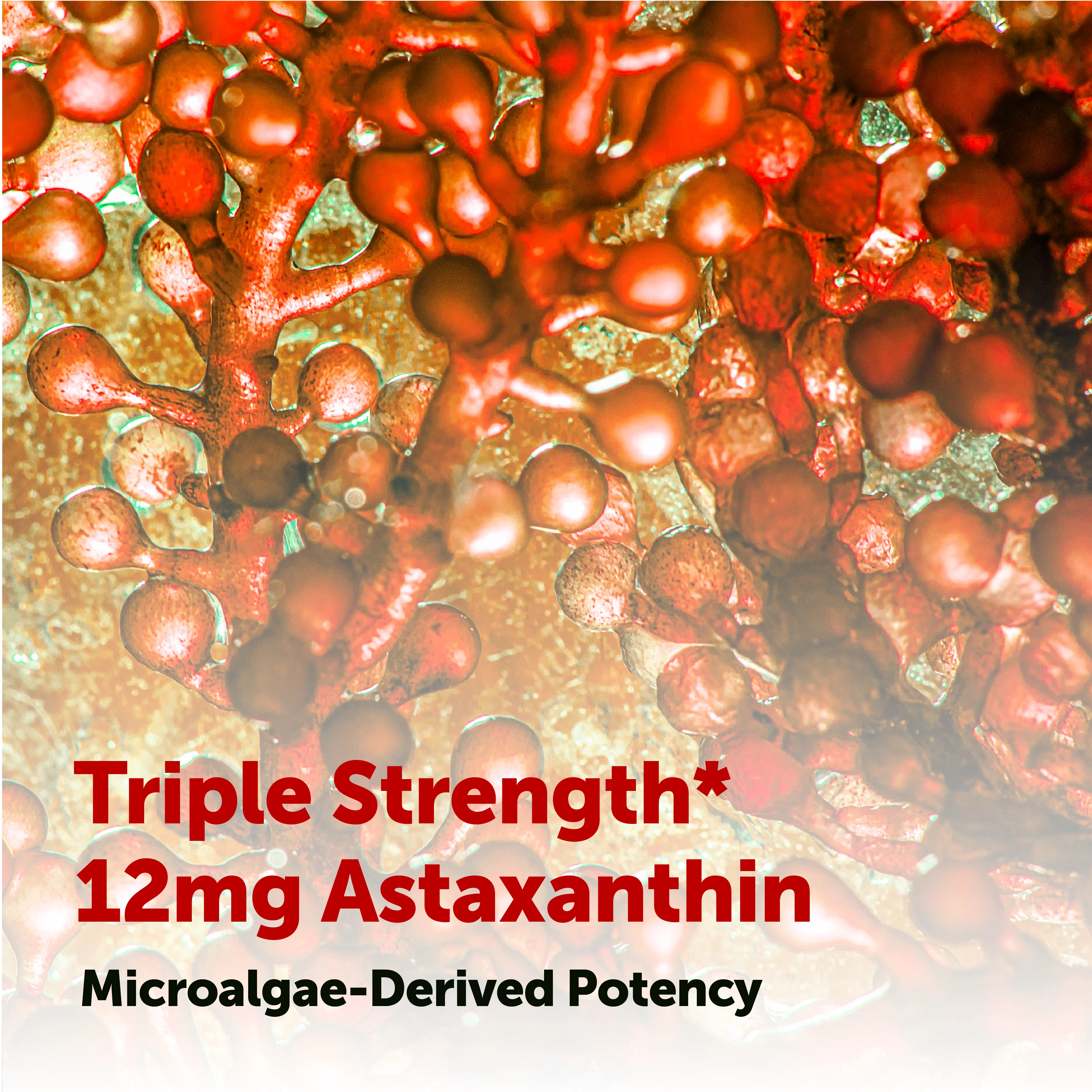 Astaxanthin – Powerful Anti-Aging Antioxidant Support - Image 8