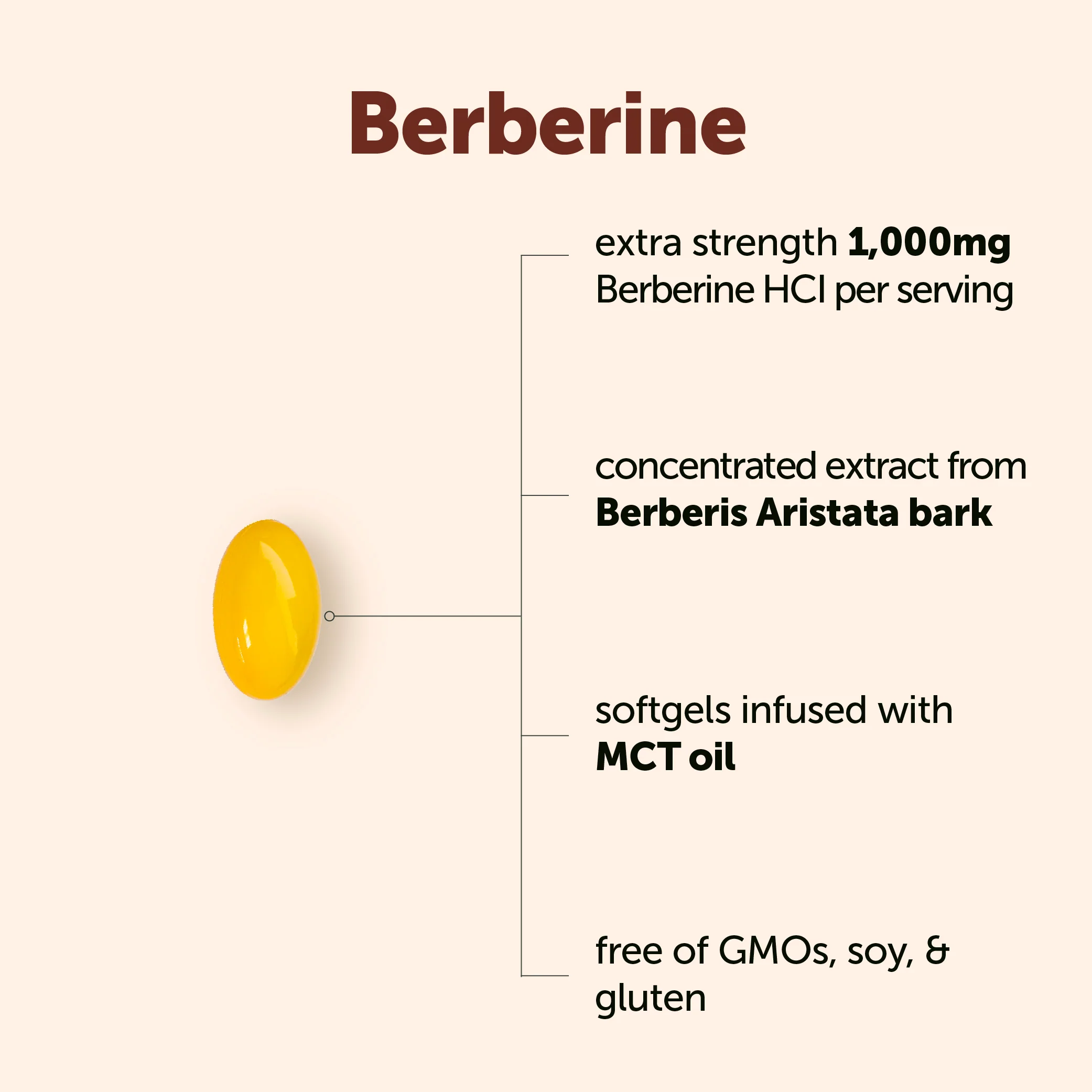 Micro Ingredients Berberine 1000mg with MCT Oil Softgels - Image 6