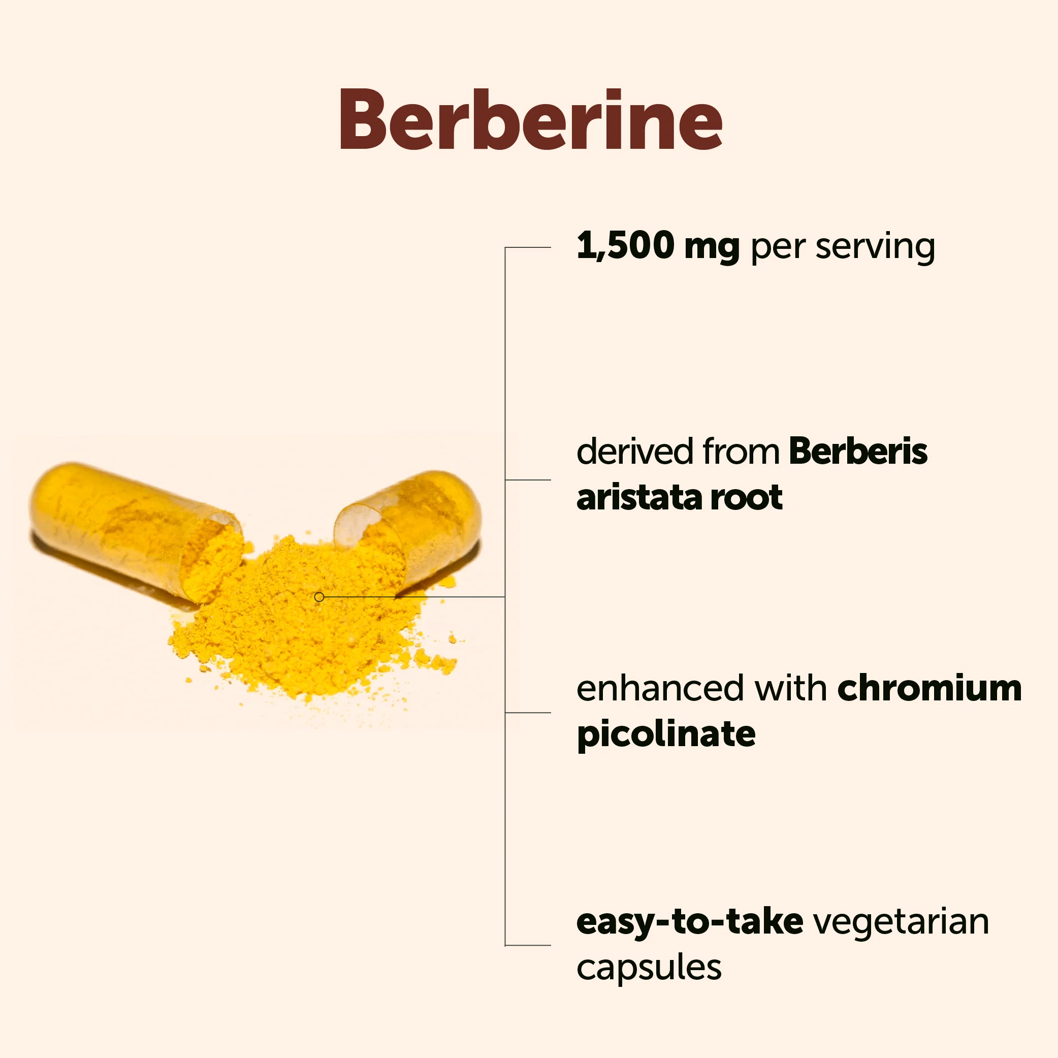 Micro Ingredients Berberine with Ceylon Cinnamon 1500mg + Chromium, 240 Vegetarian Capsules - Image 3