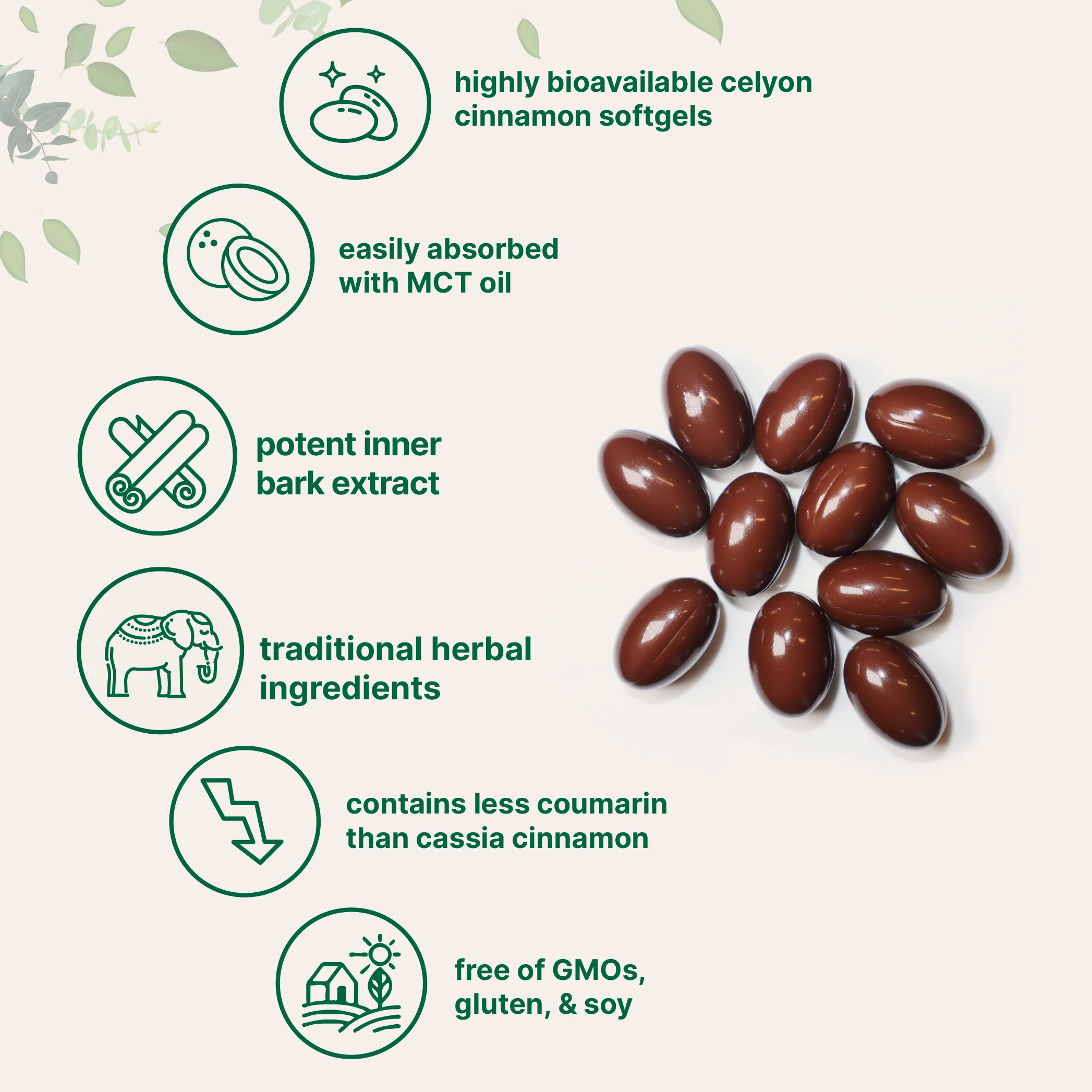 Micro Ingredients Ceylon Cinnamon 7,200mg Equivalent, 300 Softgels with MCT Oil - Image 3