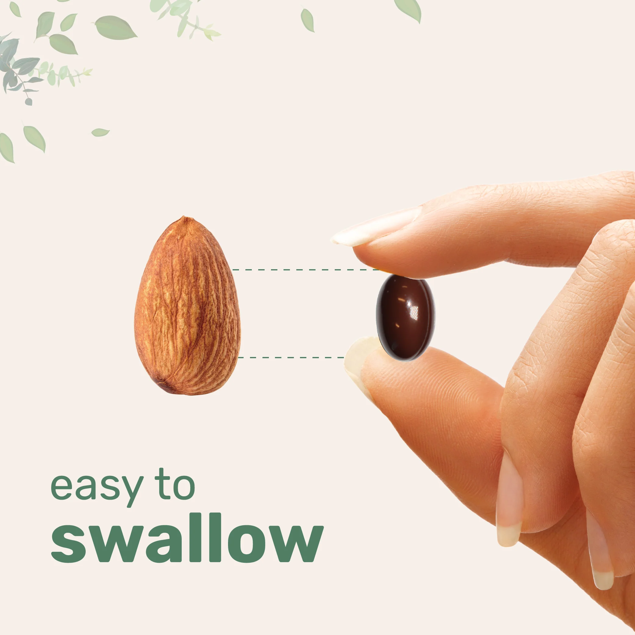 Micro Ingredients Ceylon Cinnamon 7,200mg Equivalent, 300 Softgels with MCT Oil - Image 5