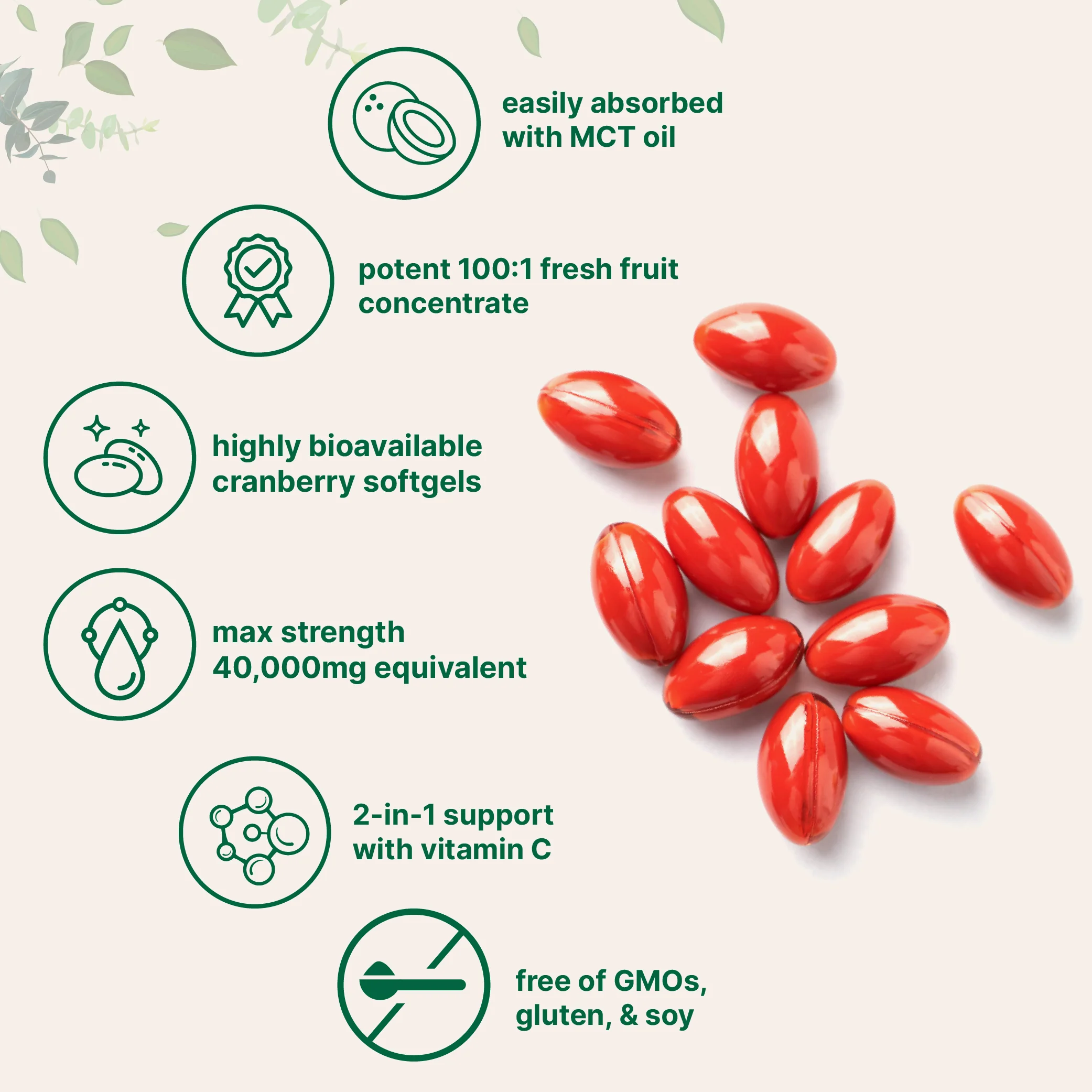 Micro Ingredients Cranberry Concentrate 40,000mg Equivalent with Vitamin C - Image 3