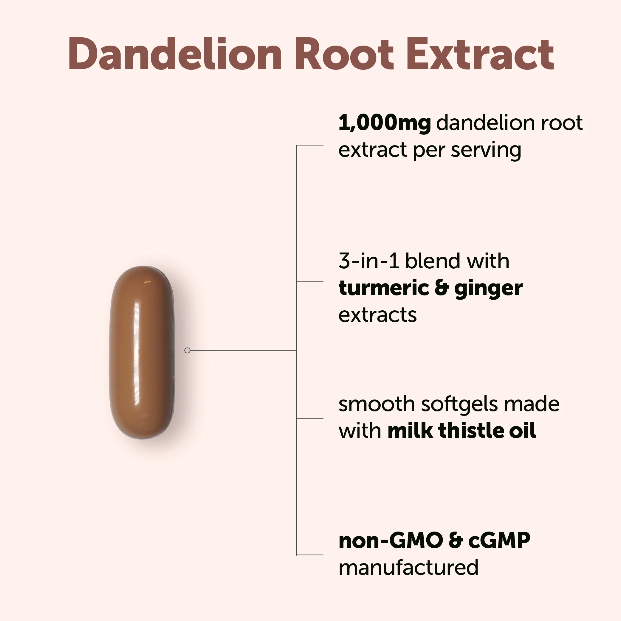Micro Ingredients Dandelion Root with Turmeric Root and Ginger Root, 240 Milk Thistle Oil Softgels - Image 3
