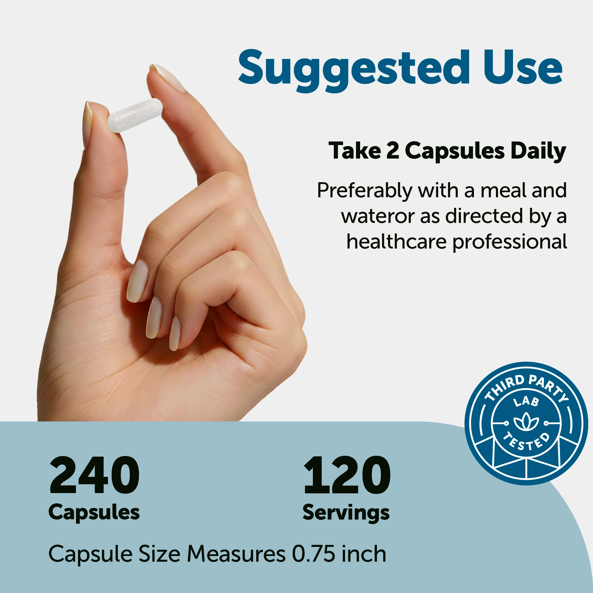 Micro Ingredients DHEA Micronized 50mg, 240 Capsules - Image 4