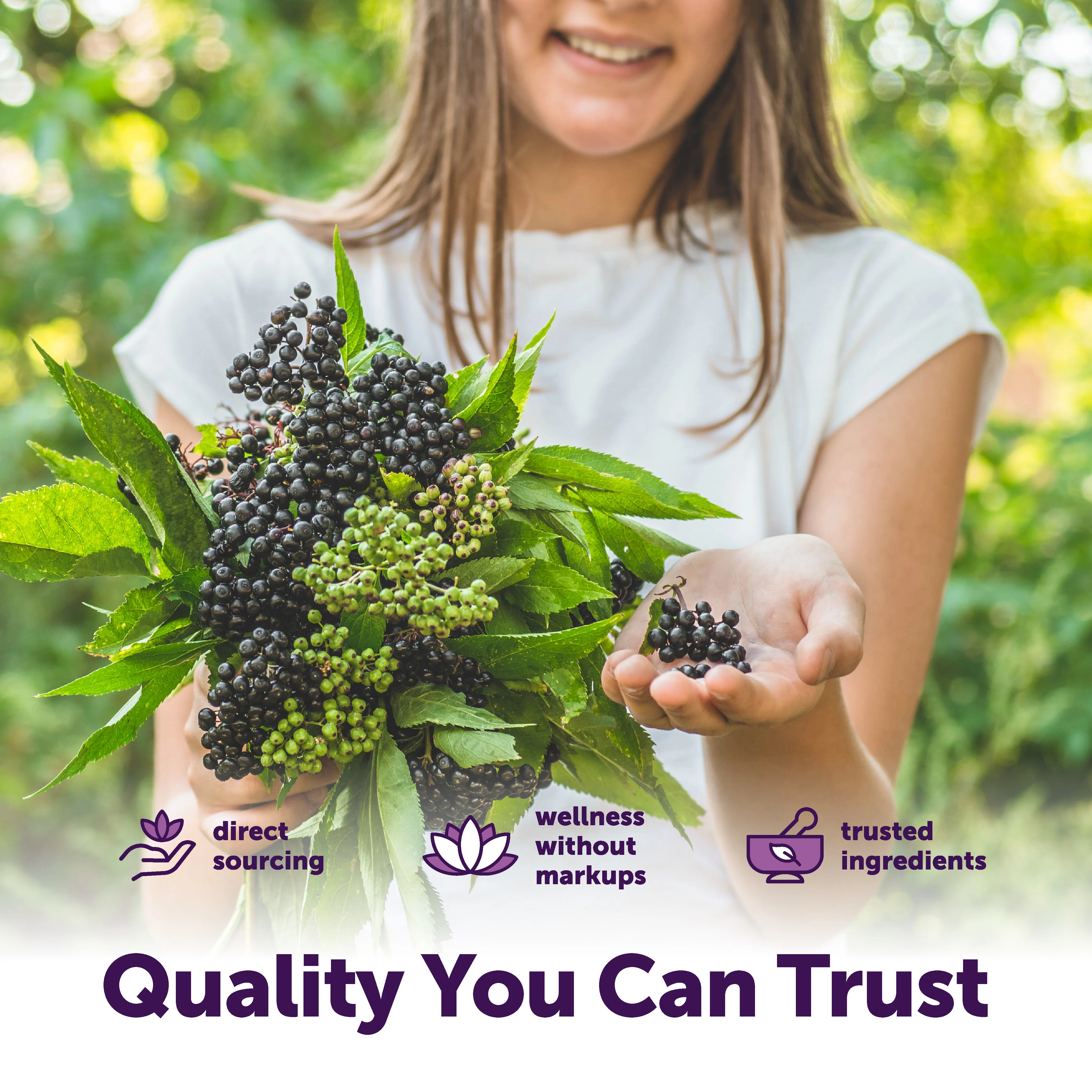 Micro Ingredients Elderberry Complex with MCT & Elderberry Seed Oil, 360 Softgels - Image 6