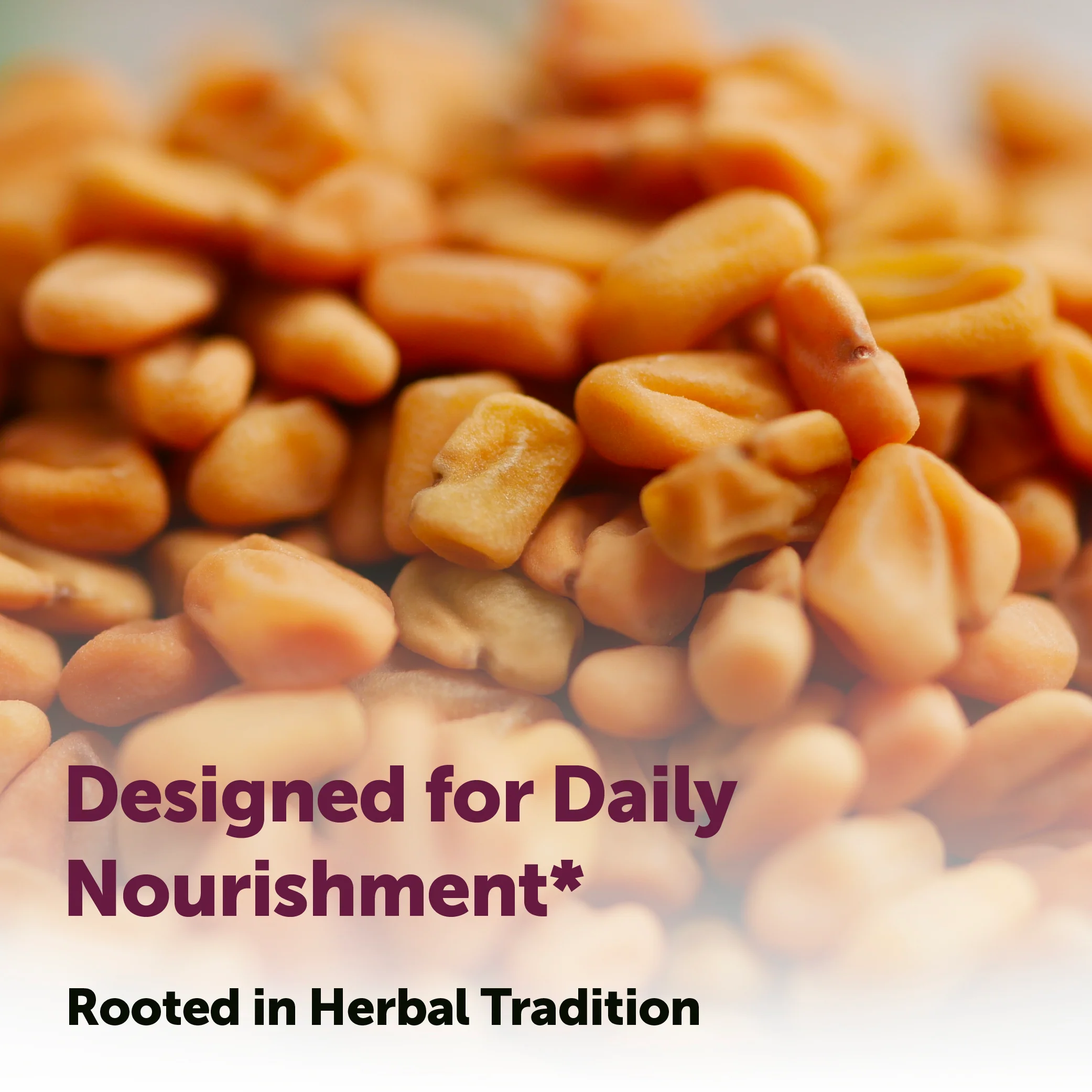 Micro Ingredients Fenugreek with Sunflower Lecithin, 360 Coconut Oil Softgels - Image 5