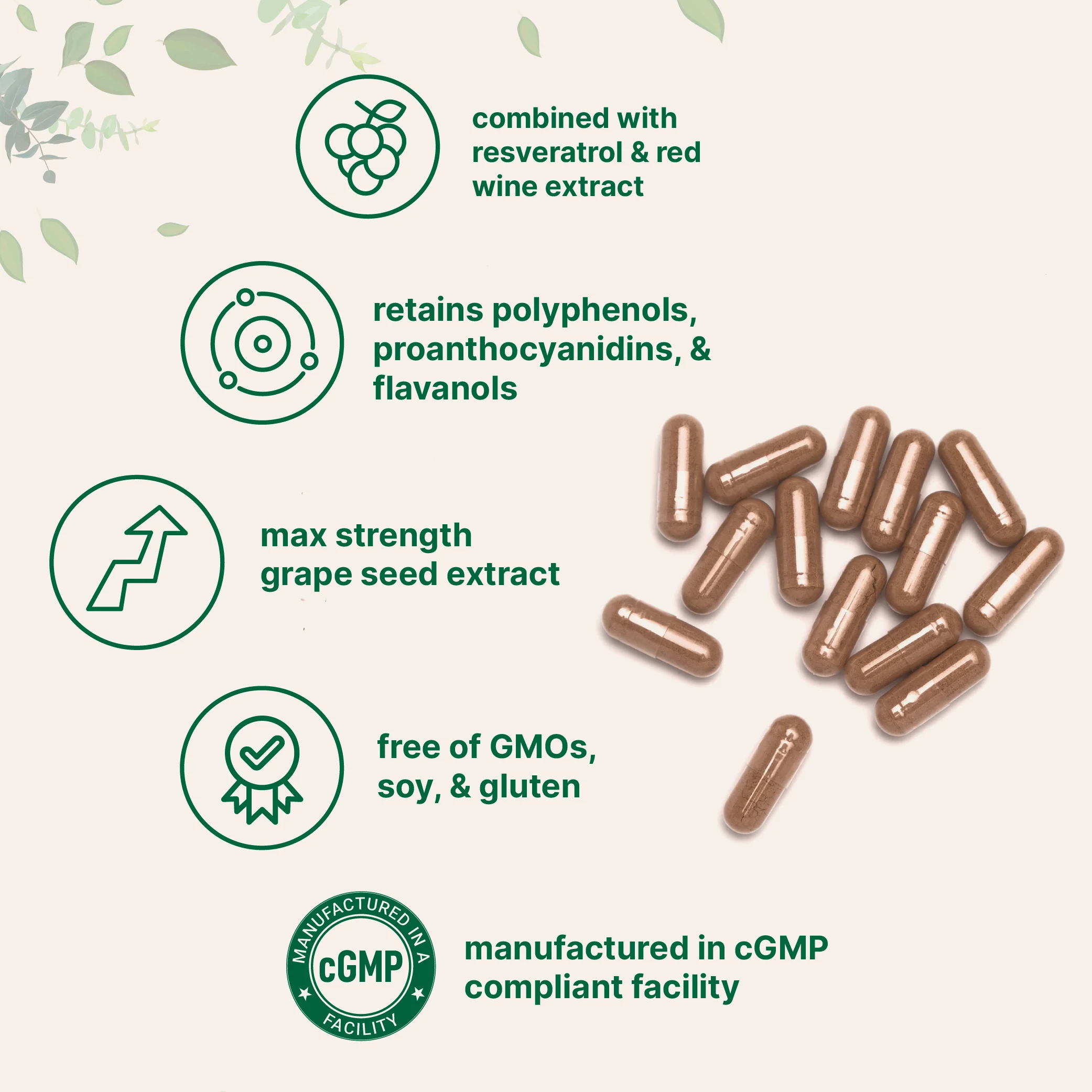 Micro Ingredients Grape Seed Extract, 240 Capsule - Image 3