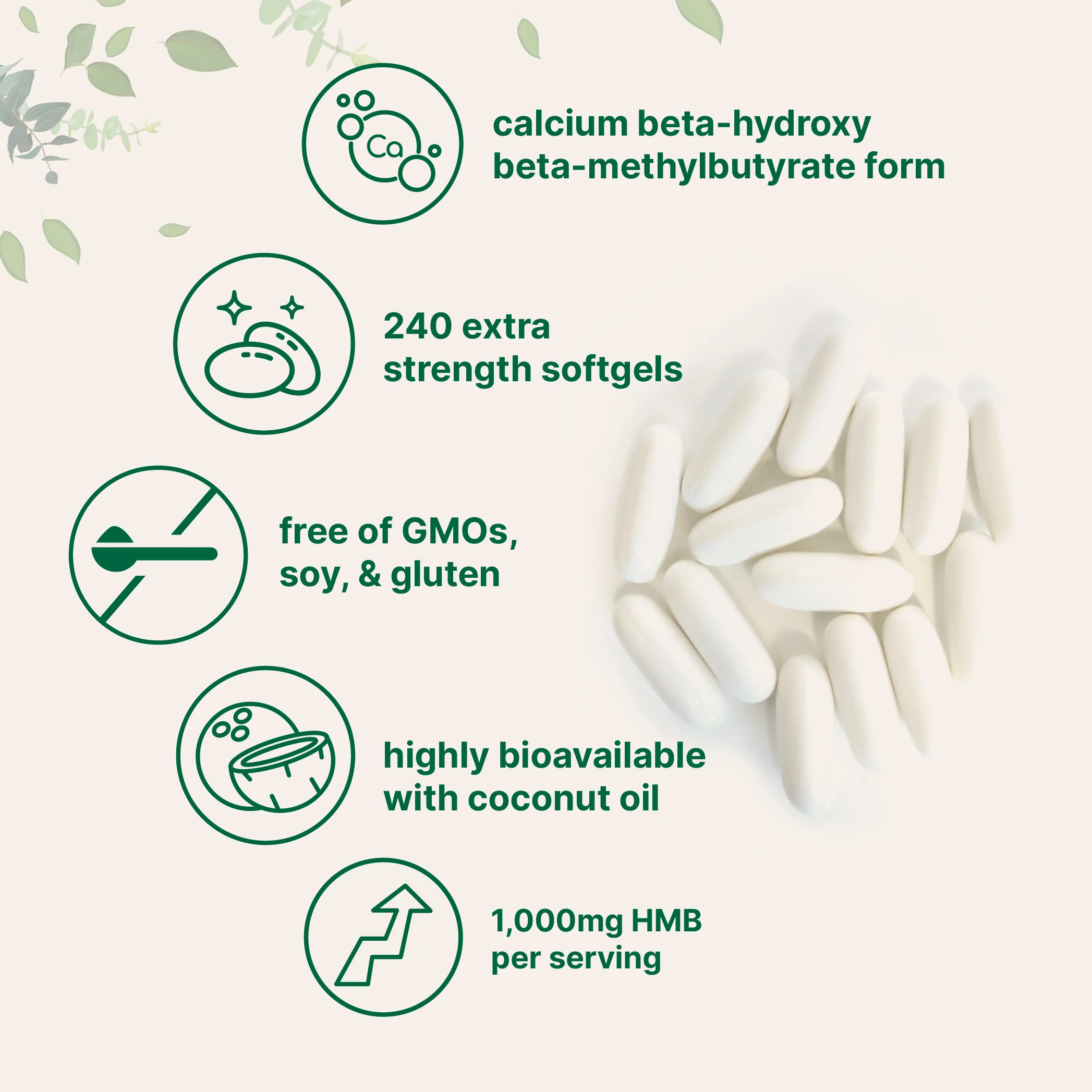 Micro Ingredients HMB 1,000mg, 240 Softgels with Coconut Oil, Highly Bioavailable - Image 3