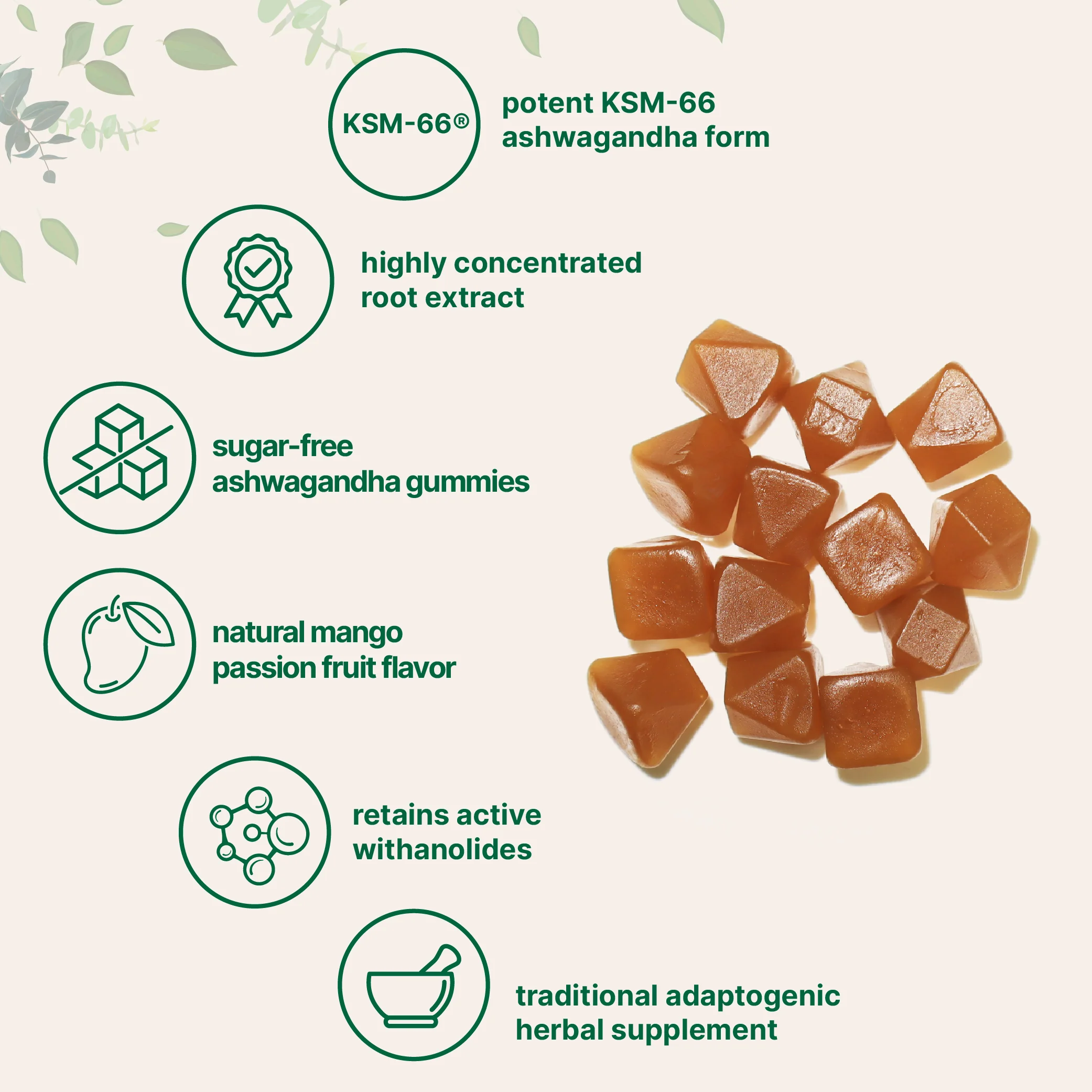 Micro Ingredients KSM-66 Ashwagandha Gummies 300mg, 120 Count - Image 3