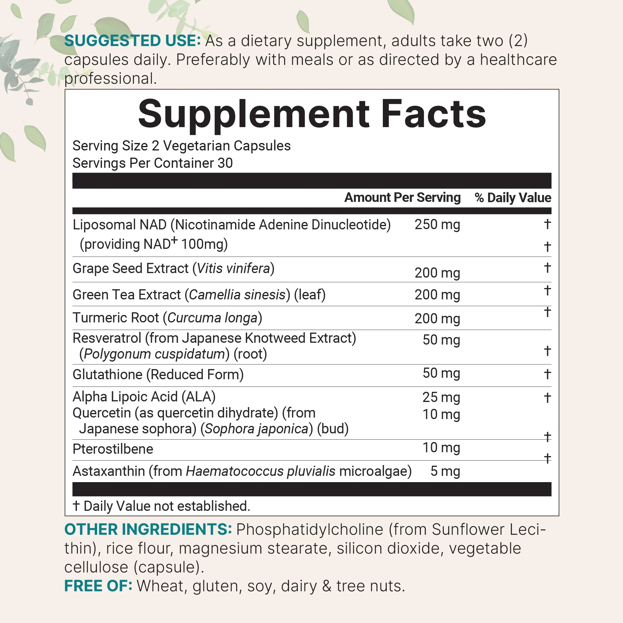 Micro Ingredients Liposomal NAD+ Ultimate 1,000mg, 60 Veggie Capsules - Image 3