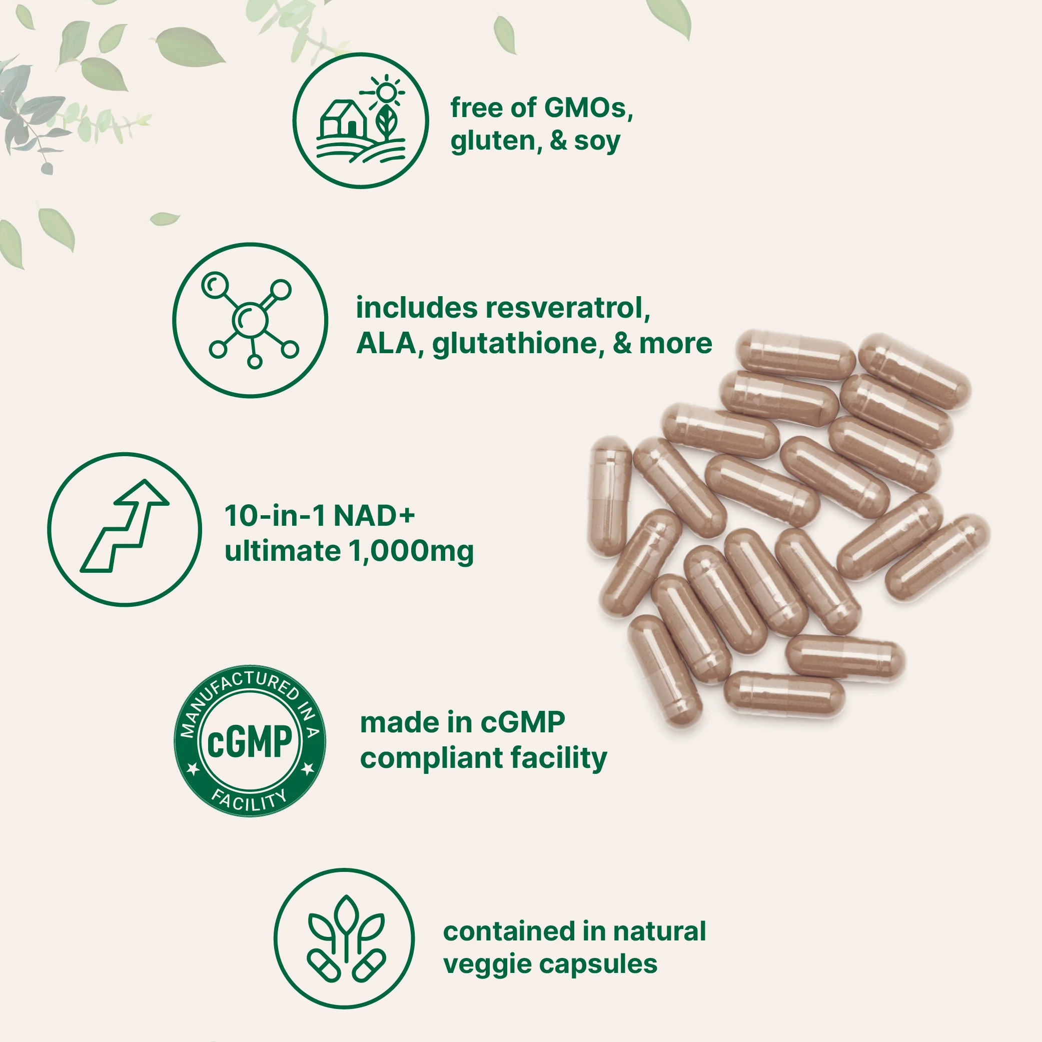 Micro Ingredients Liposomal NAD+ Ultimate 1,000mg, 60 Veggie Capsules - Image 4