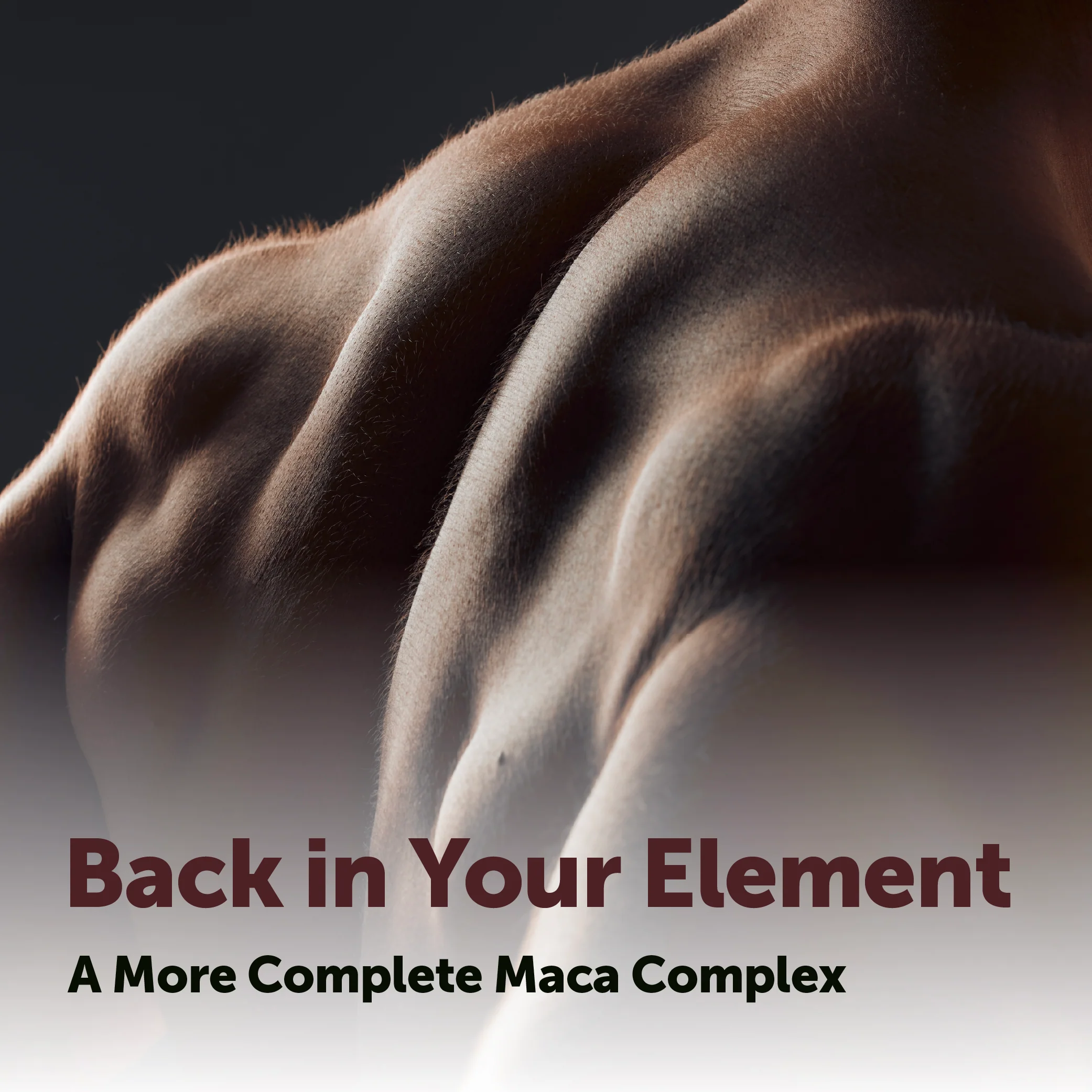 Micro Ingredients Maca Root 10-in-1 Complex with Pumpkin Seed Oil, 300 Softgels - Image 5