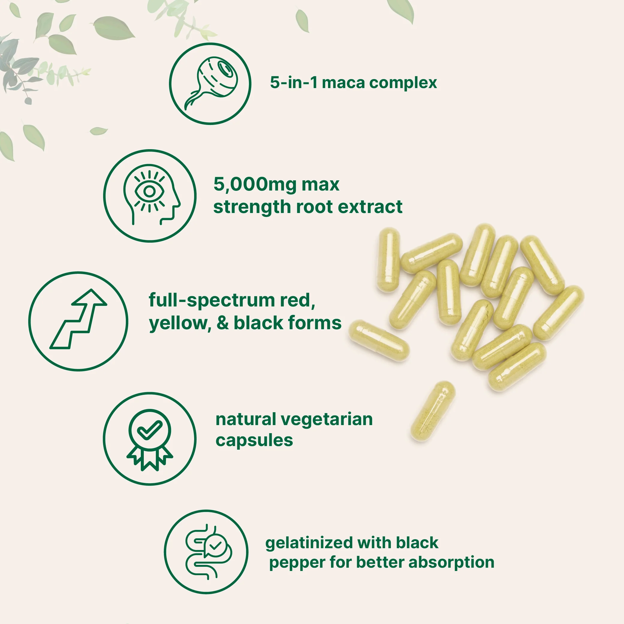 Micro Ingredients Maca Root 5,000mg Equivalent | 240 Veggie Capsules - Image 3