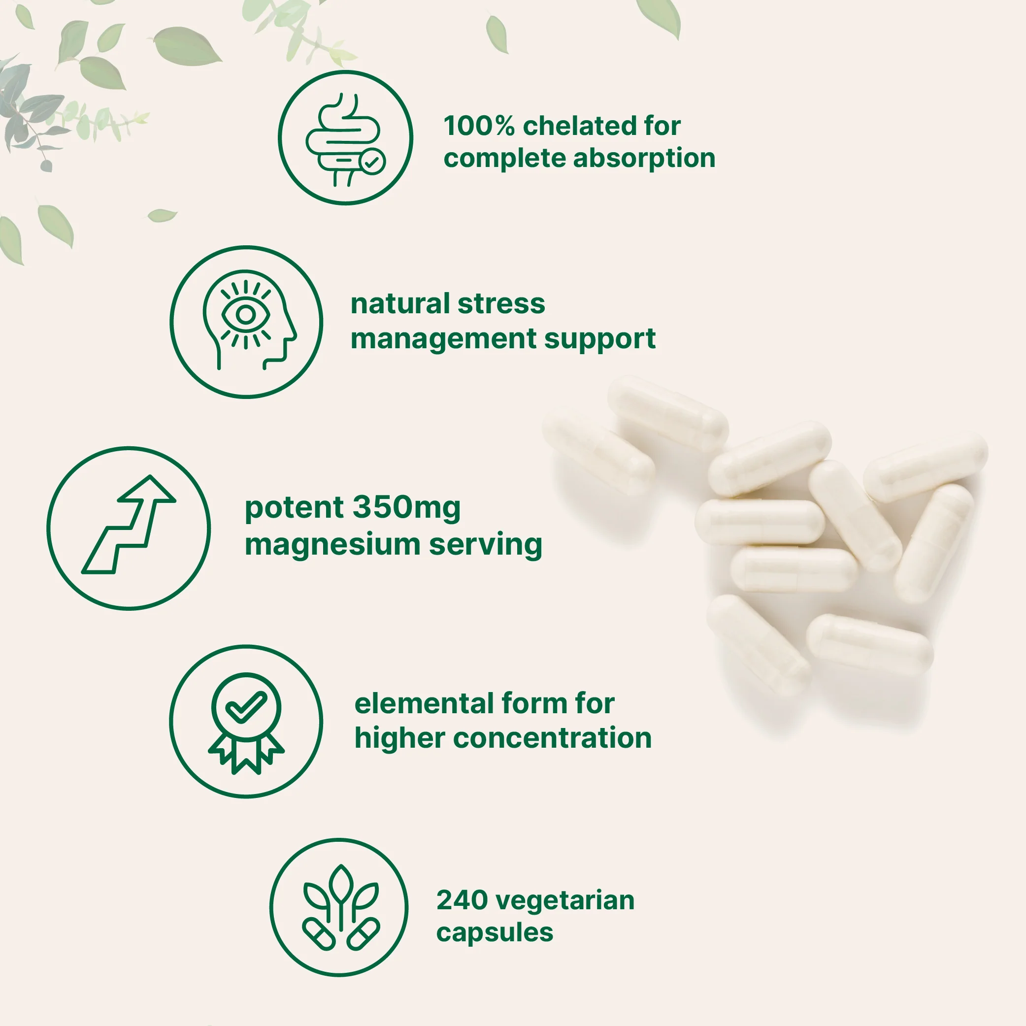 Micro Ingredients Magnesium Glycinate 350mg Per Serving, 240 Veggie Capsules - Image 3