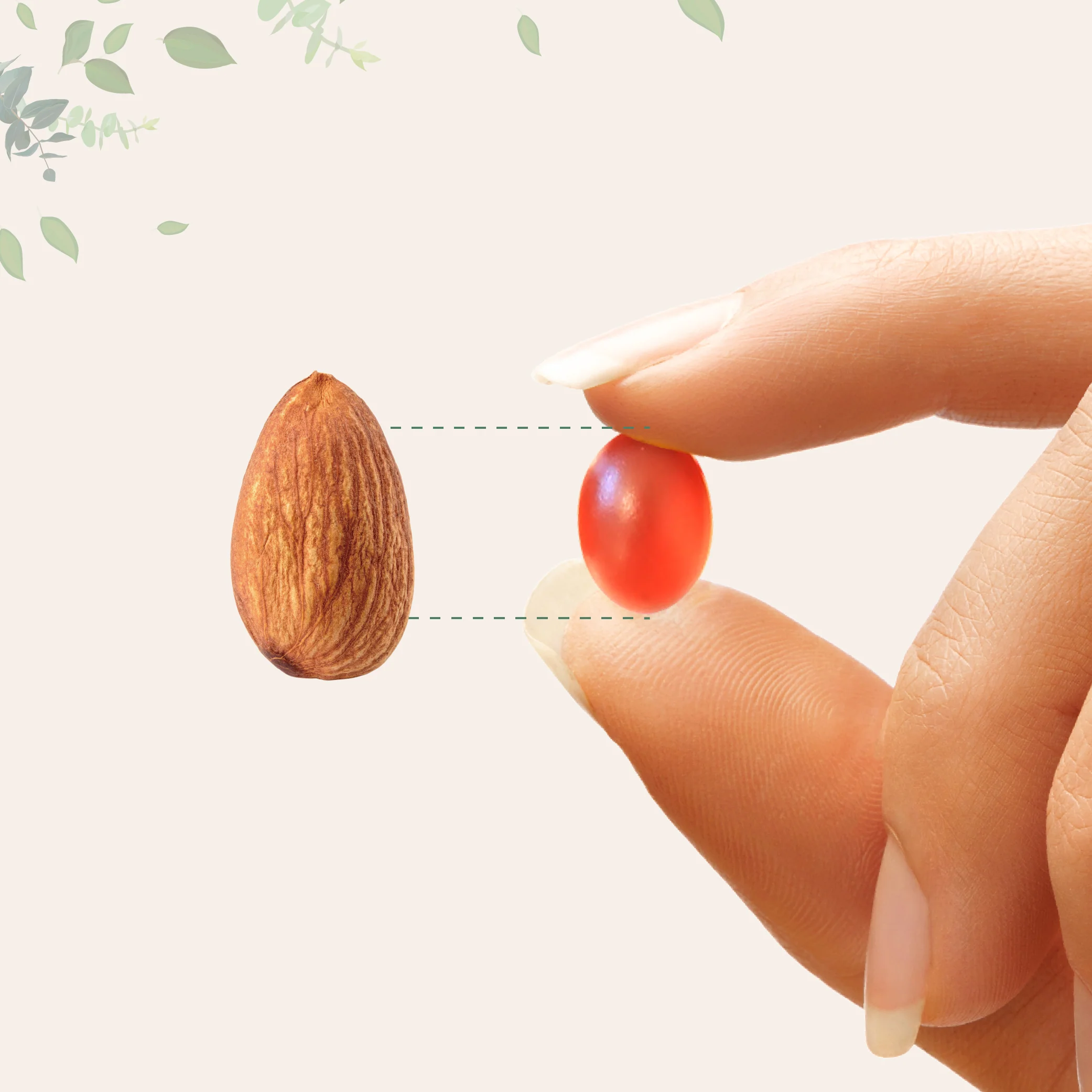 Micro Ingredients Mega Omega-3 Krill & Fish Oil 2,000mg Equivalent, 240 Softgels - Image 5
