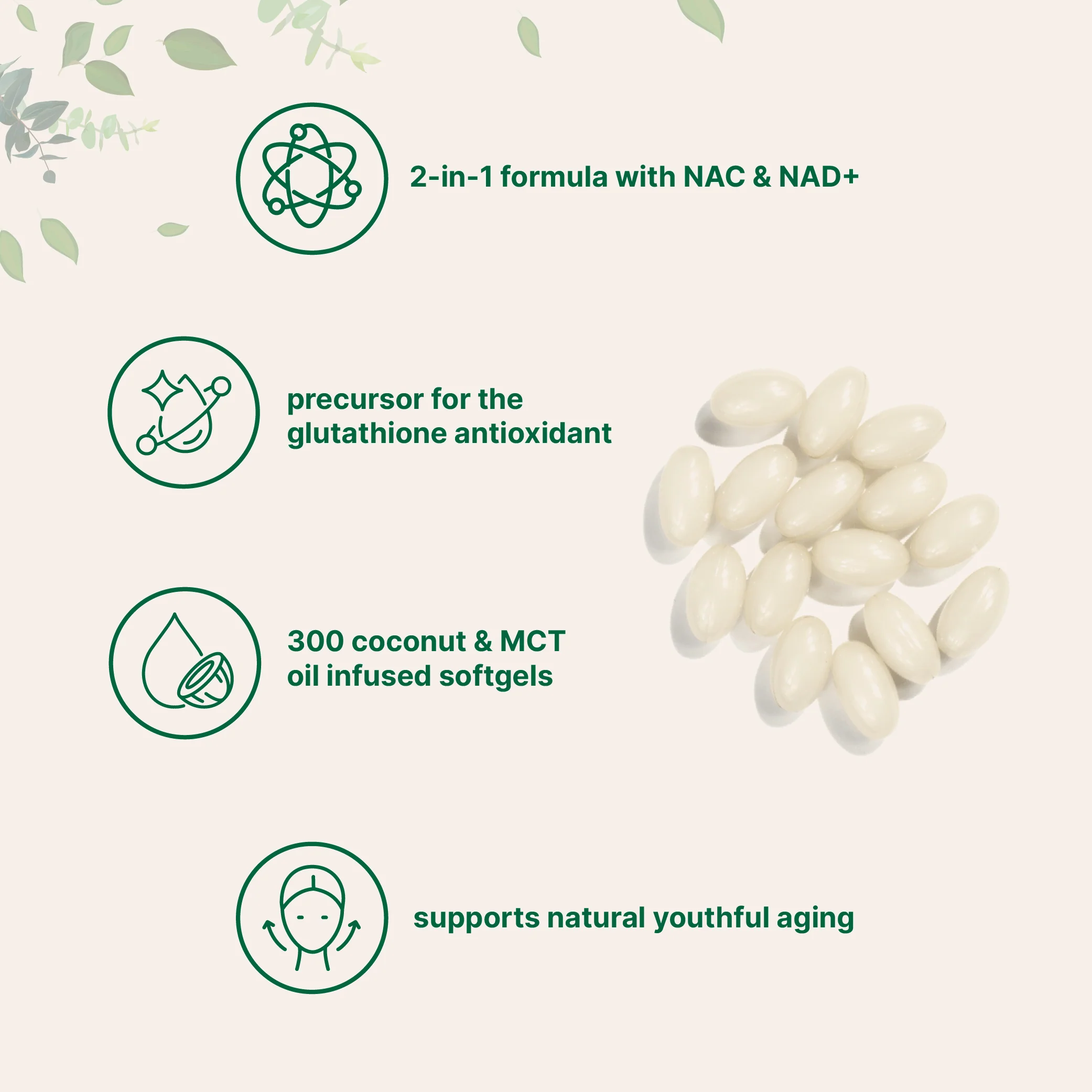 Micro Ingredients NAC 600mg with NAD+, N-Acetyl L-Cysteine + Nicotinamide + MCT Oil, Cellular Energy & Antioxidant Support - Image 5