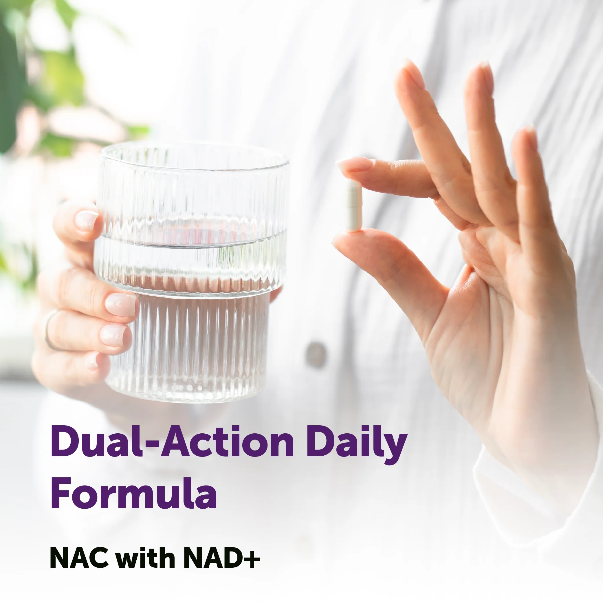 Micro Ingredients NAC with NAD+ 600mg, 240 Vegetarian Capsules - Image 5