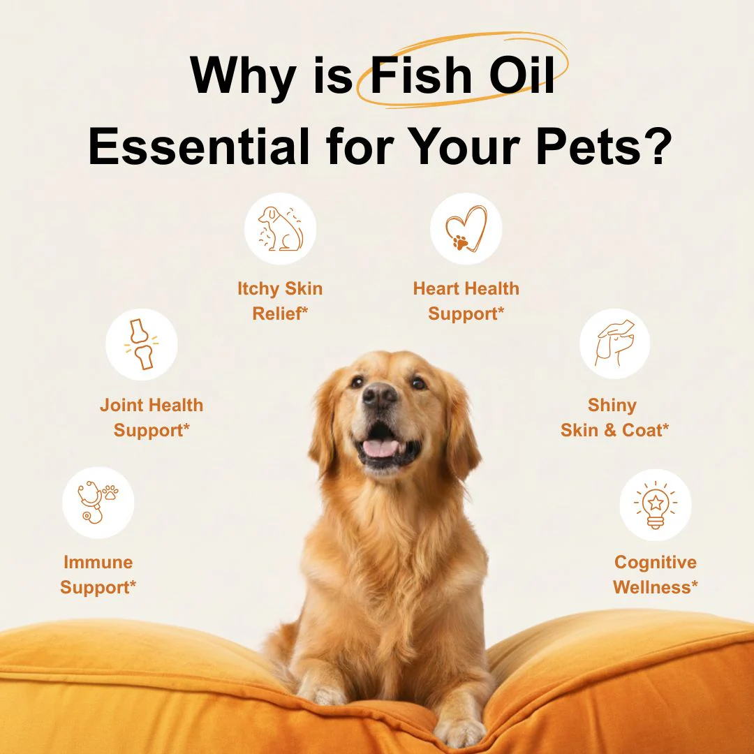 Micro Ingredients Omega-3 Fish Oil for Dogs, 16 fl oz - Image 2