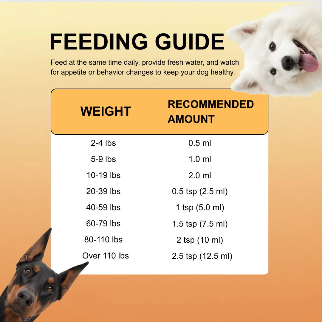 Micro Ingredients Omega-3 Fish Oil for Dogs, 16 fl oz - Image 4