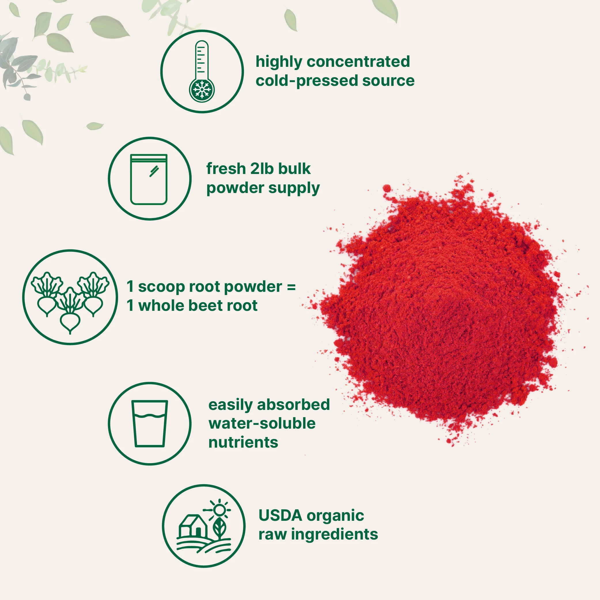 Micro Ingredients Organic Beet Root Powder, 2 Pound - Image 3