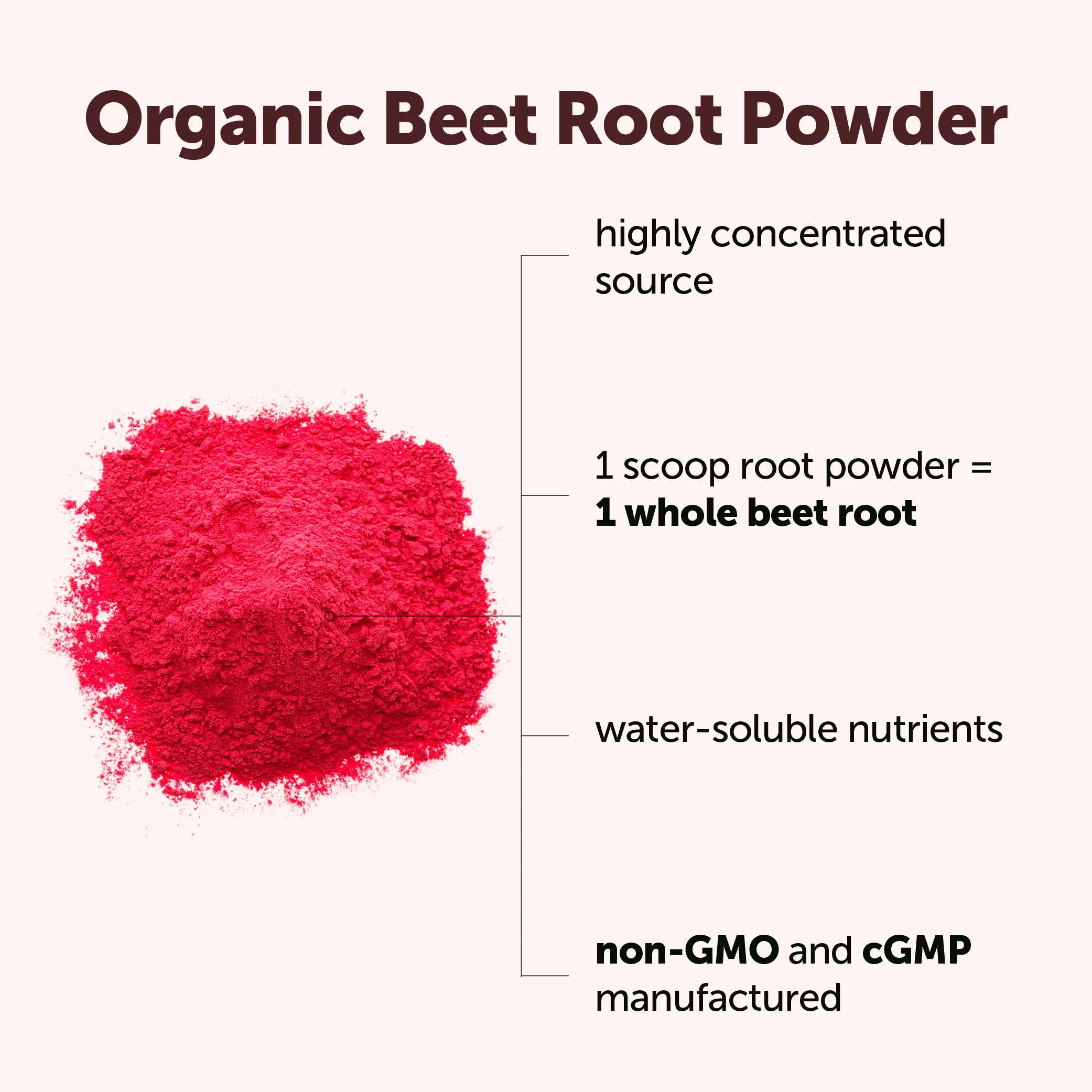 Micro Ingredients Organic Beet Root Powder, 8oz - Image 3