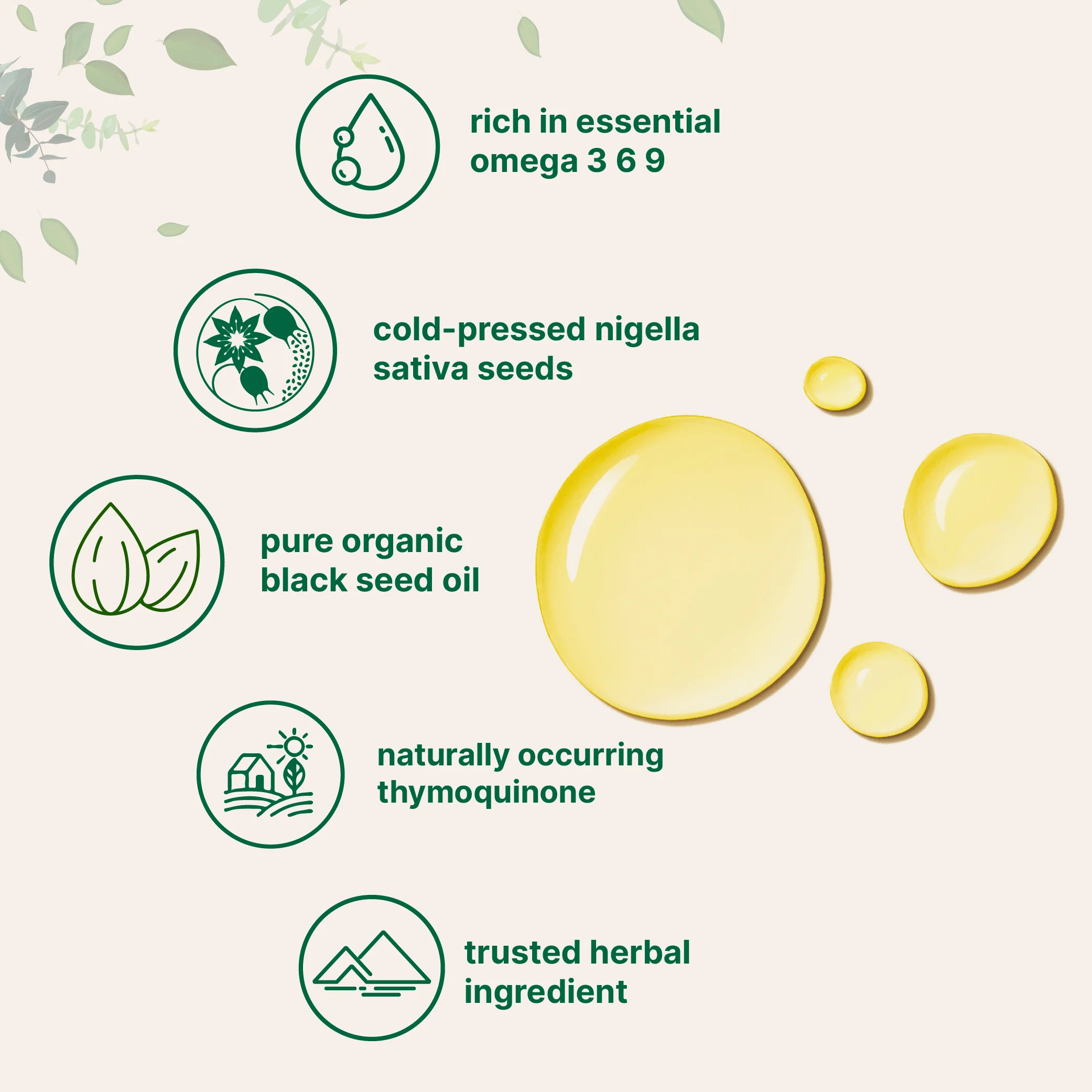 Micro Ingredients Organic Black Seed Oil, 16 fl oz | Cold Pressed Black Cumin Seeds from Nigella Sativa - Image 4