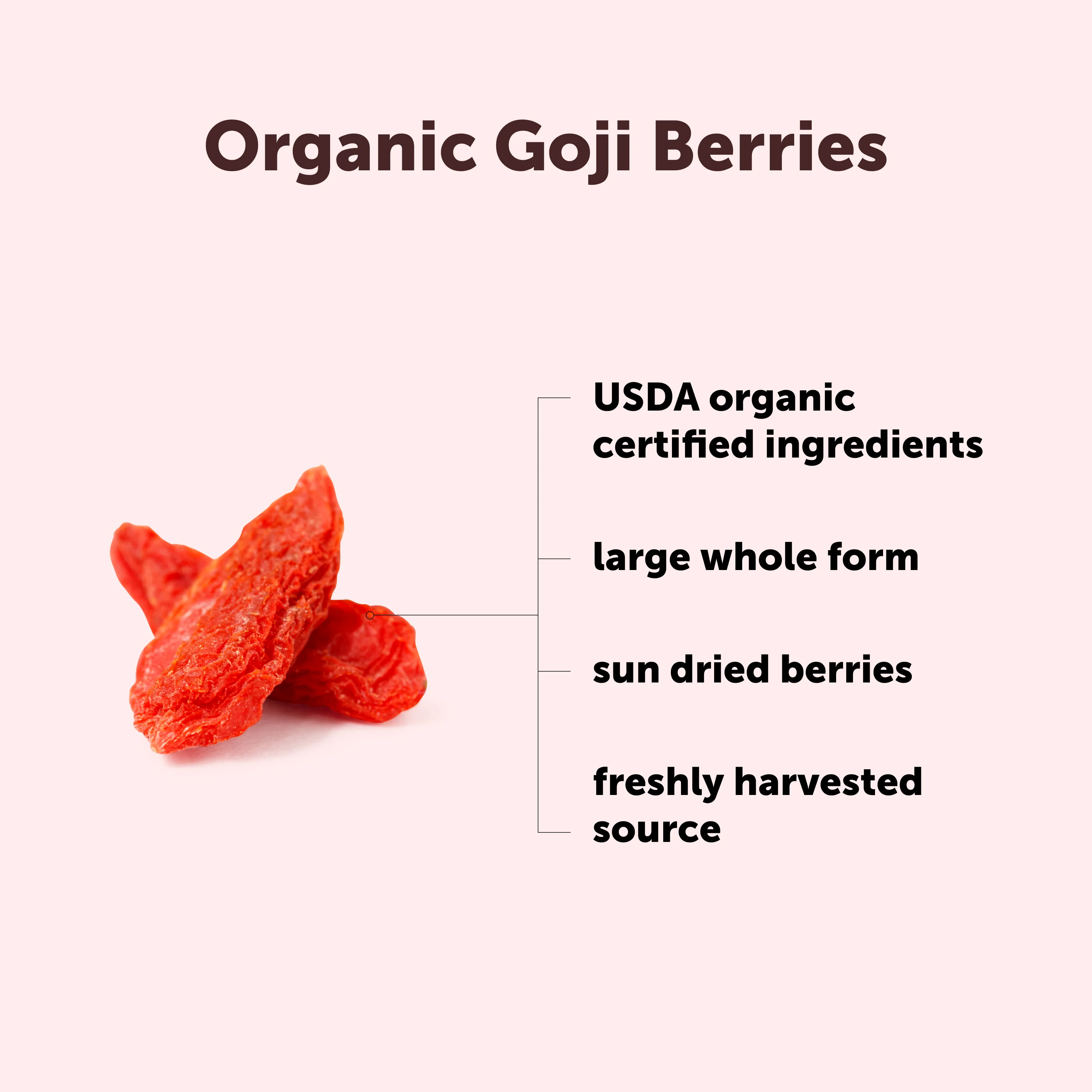 Micro Ingredients Organic Goji Berries, 1lb - Image 3