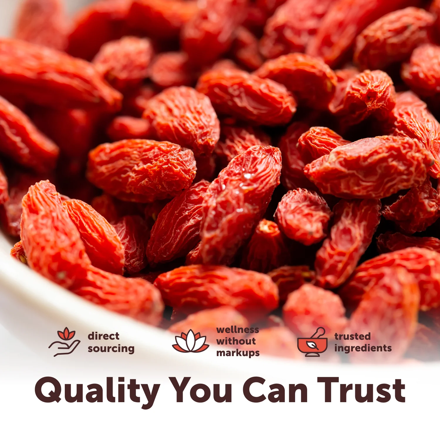 Micro Ingredients Organic Goji Berries, 1lb - Image 6