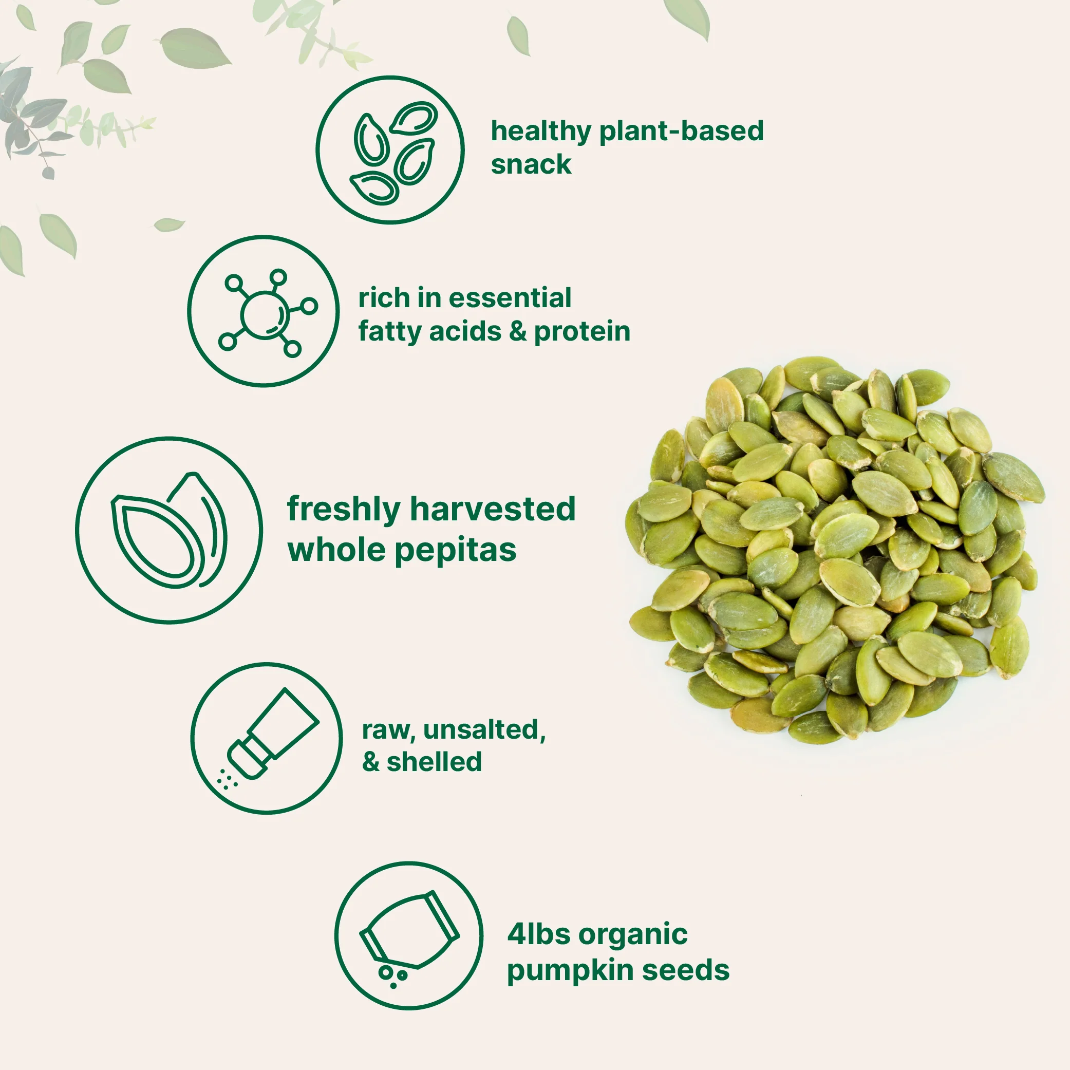 Micro Ingredients Organic Pumpkin Seeds, 4lbs, Raw, Unsalted, & Shelled - Image 3