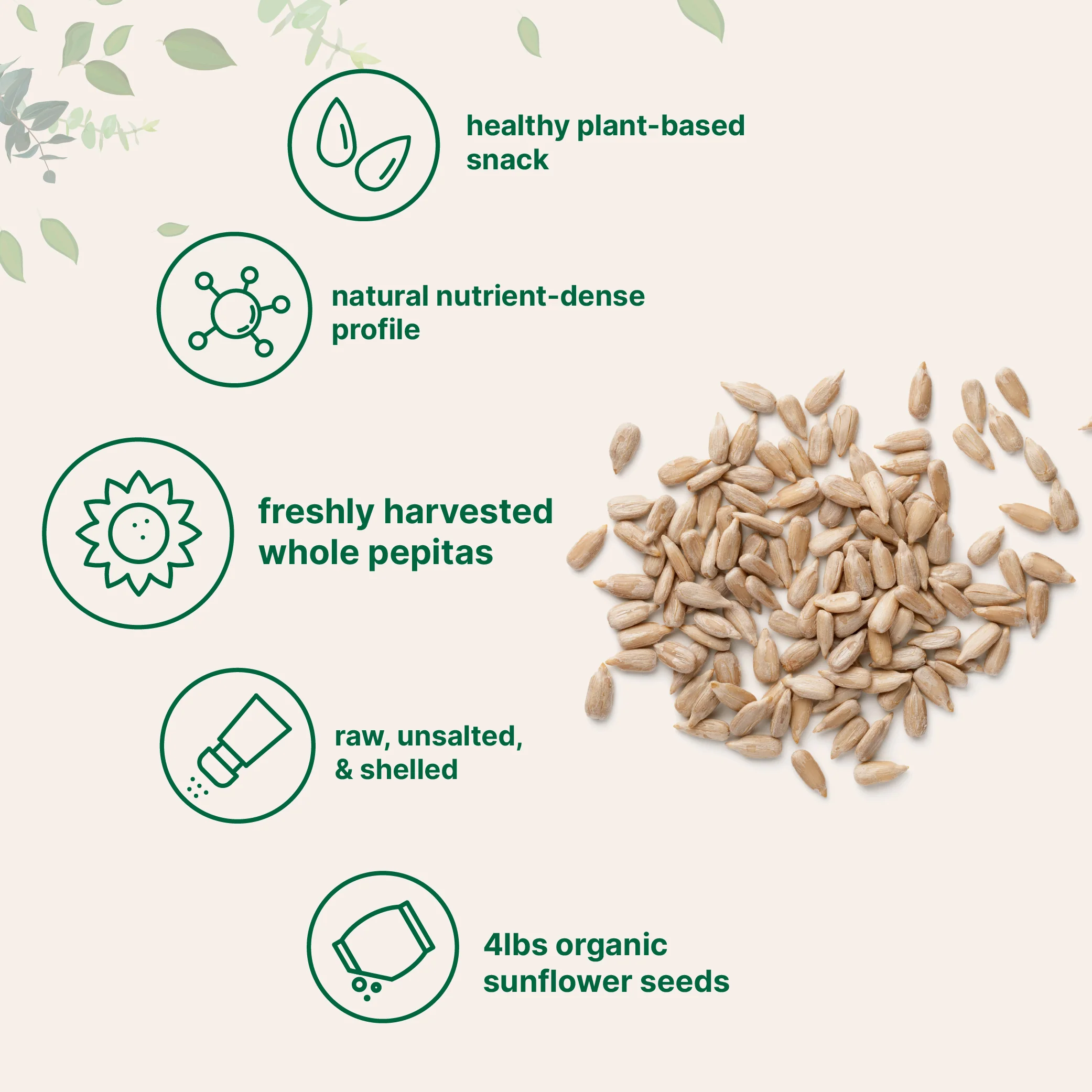 Micro Ingredients Organic Sunflower Seeds, 4lbs, Raw, Unsalted, & Shelled - Image 3