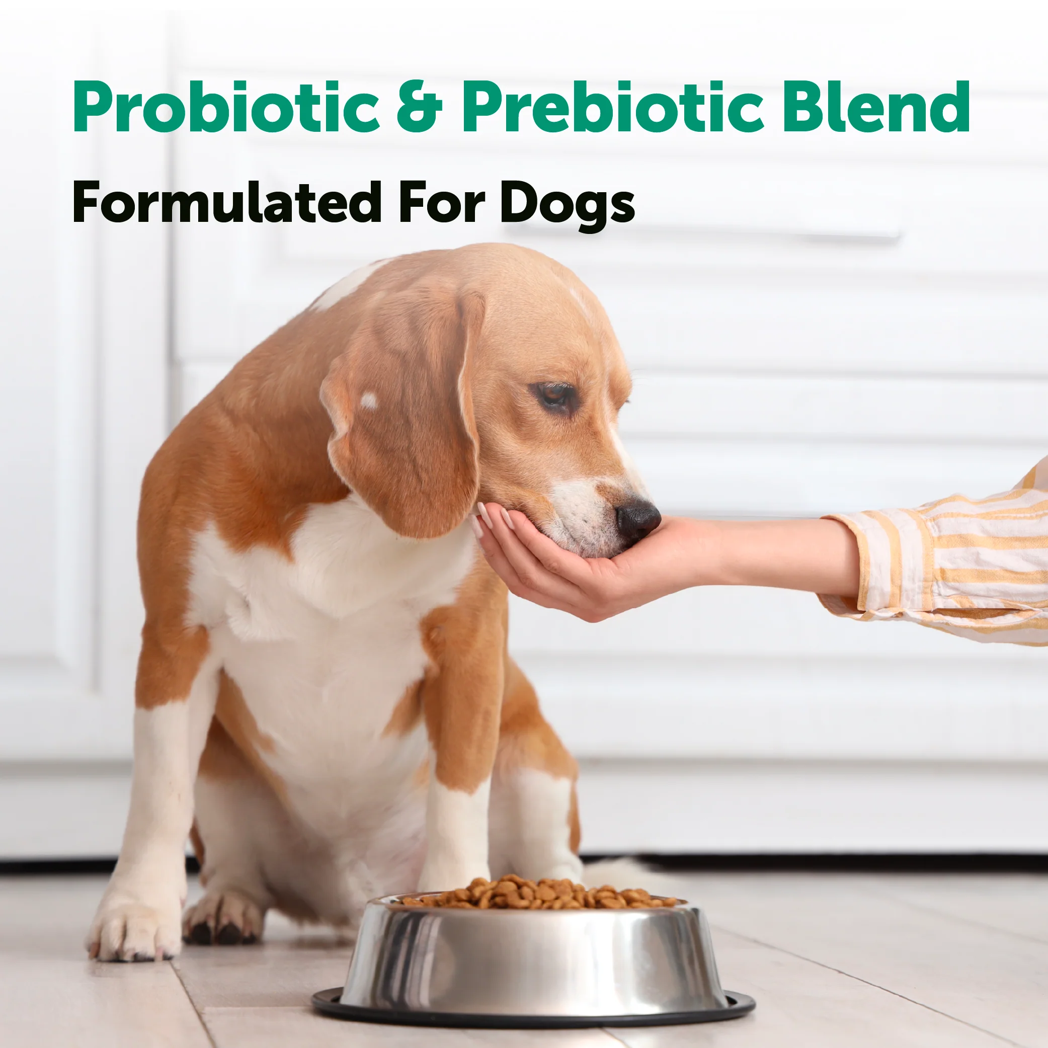 Micro Ingredients Probiotics for Dogs 6 Billion CFU, Duck Flavor, 240 Soft Chews - Image 5