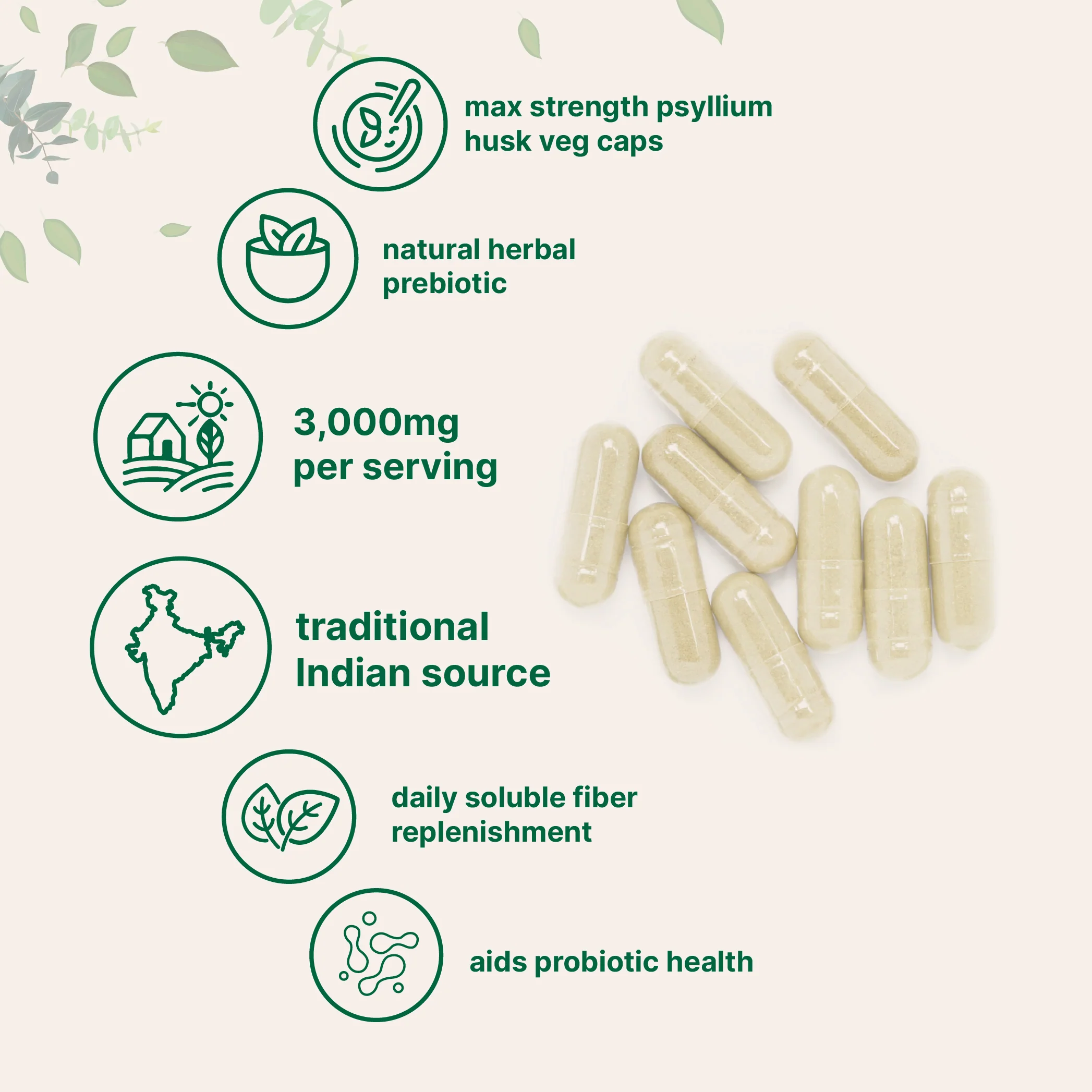 Micro Ingredients Psyllium Husk Veg Caps 3,000mg, 500 Capsules - Image 3