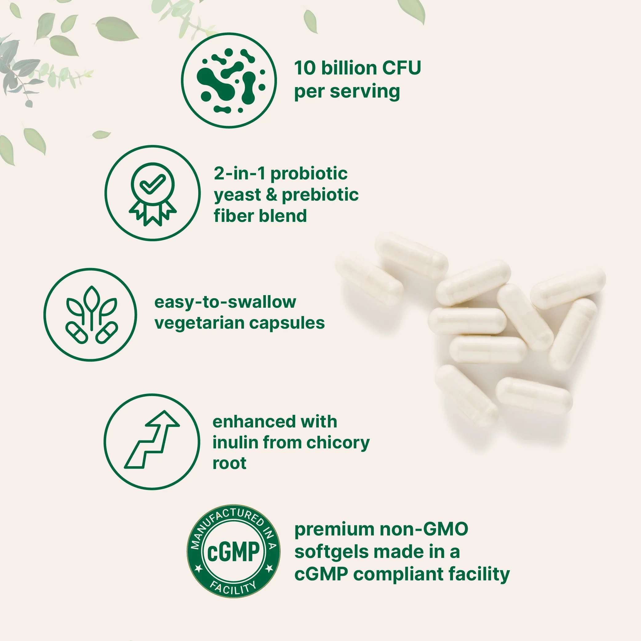 Micro Ingredients Saccharomyces Boulardii 10 billion CFU with Prebiotics, 240 Vegetarian Capsules - Image 3