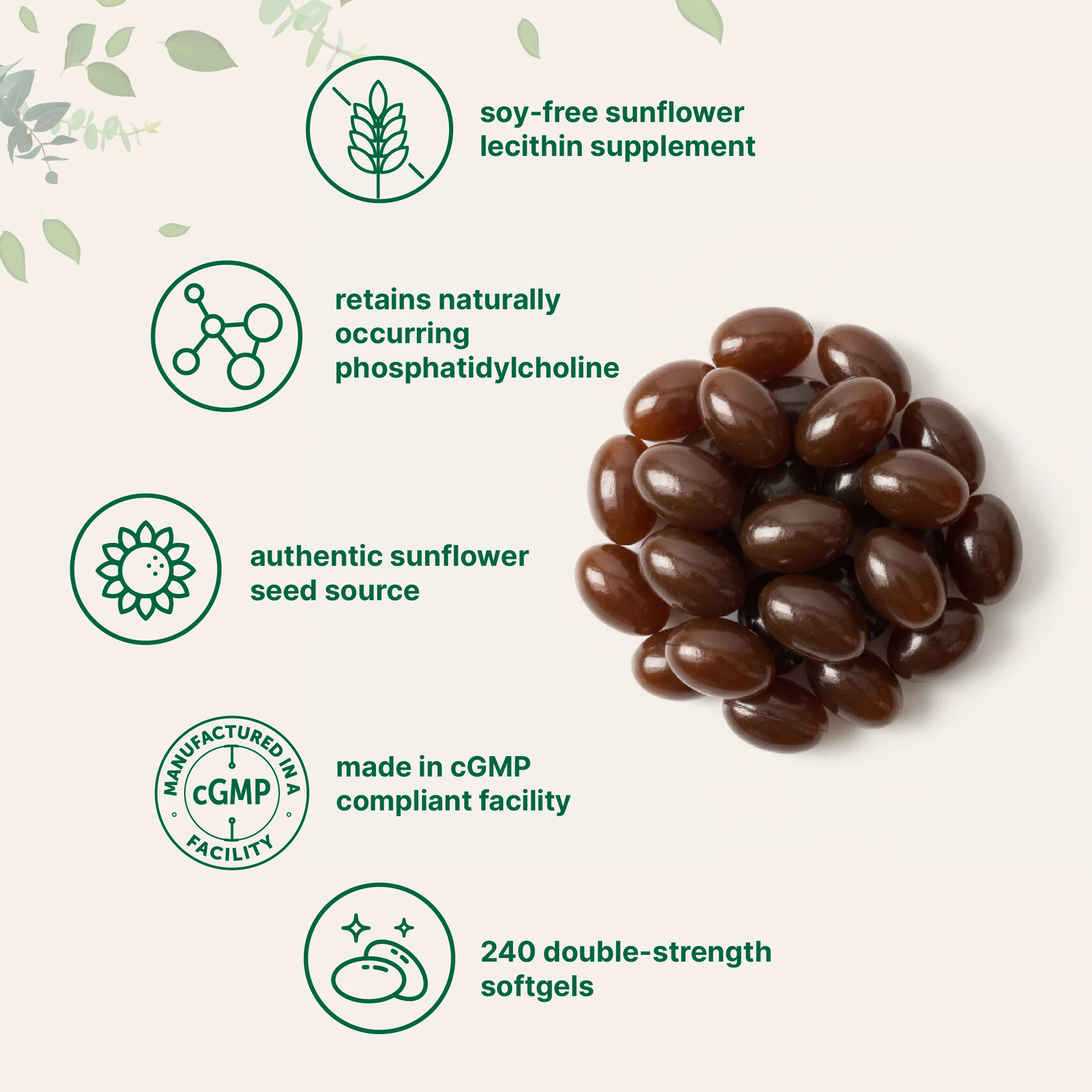 Micro Ingredients Sunflower Lecithin 2400mg, 240 Softgels - Image 3