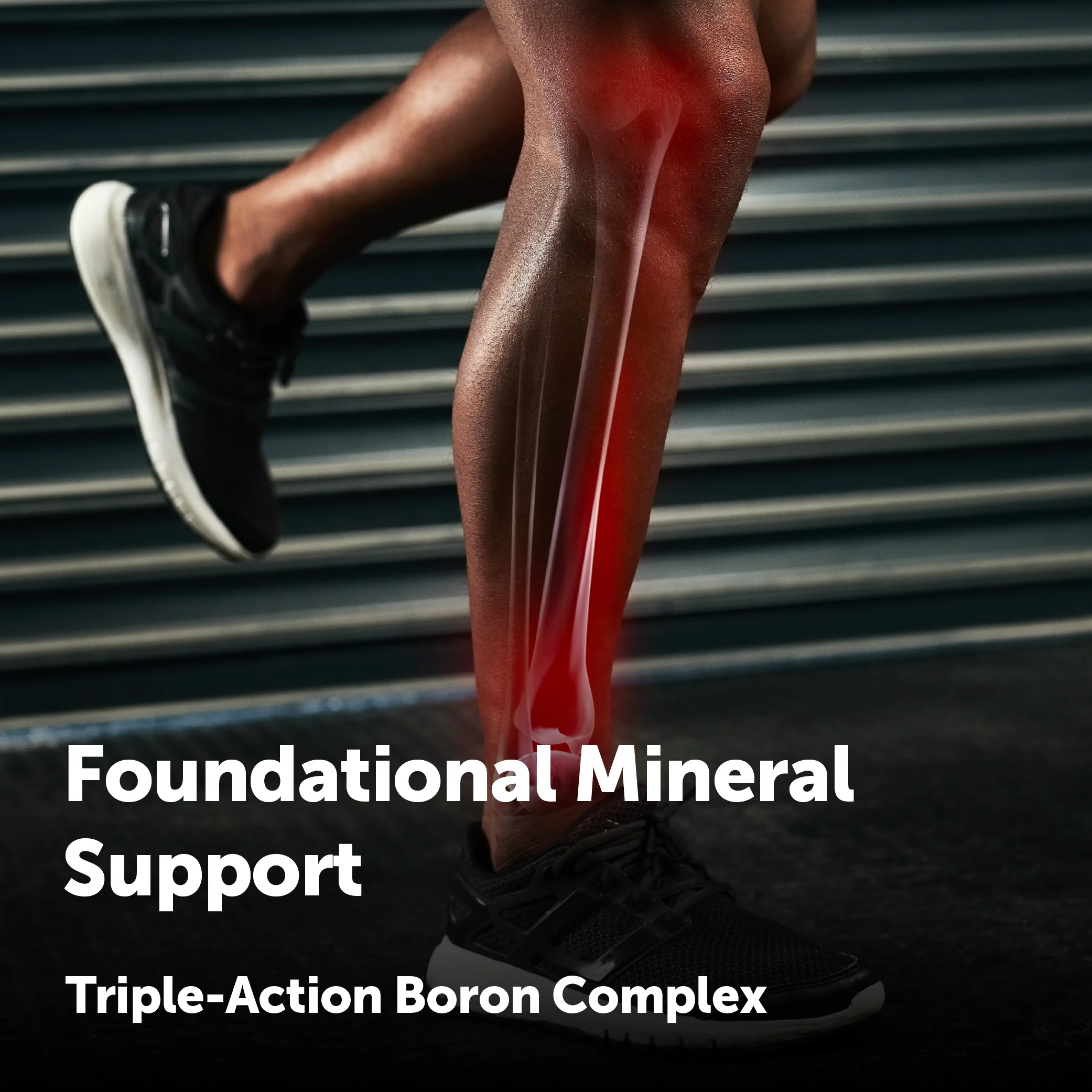 Micro Ingredients Triple Boron Complex 10mg with MCT Oil, 360 Softgels - Image 5
