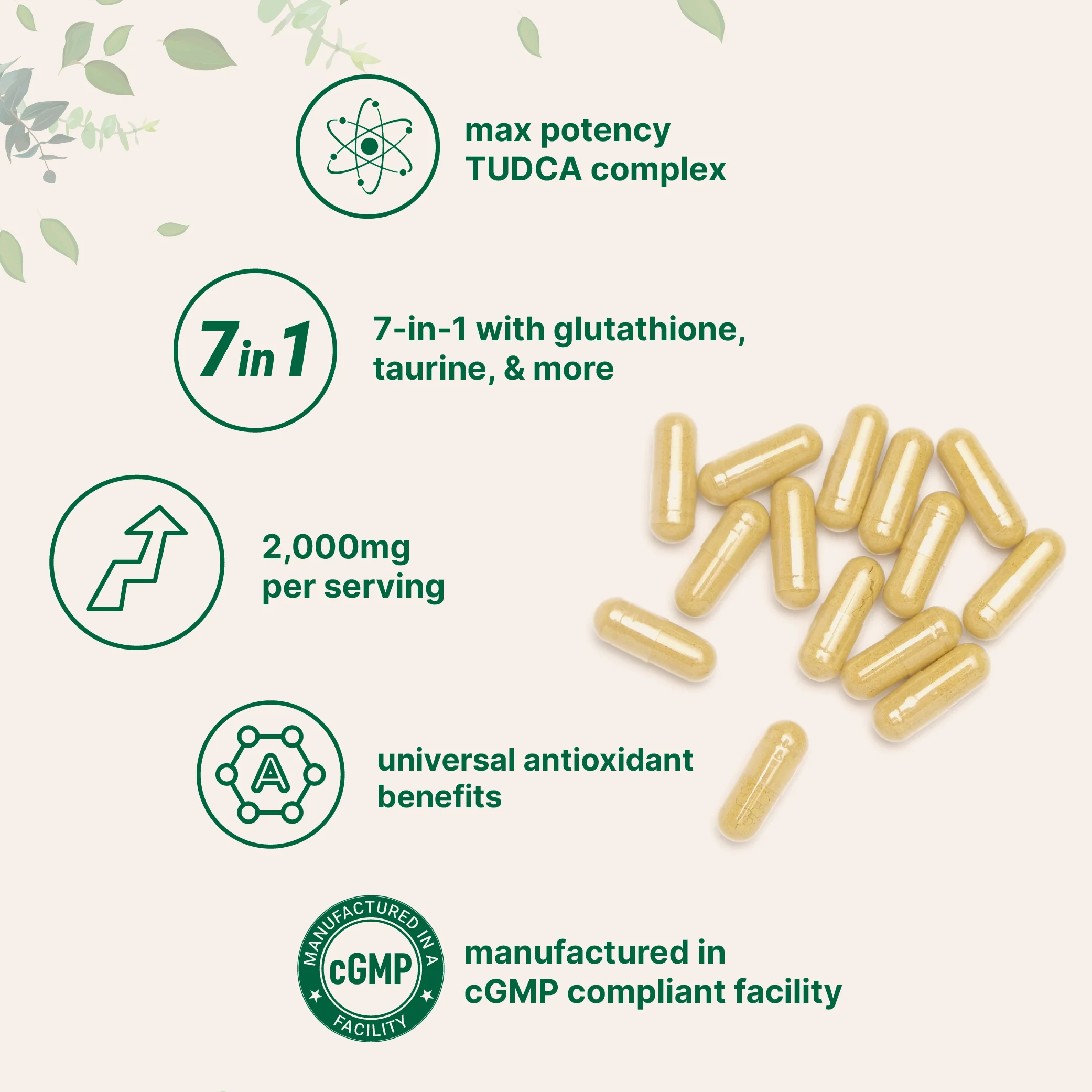 Micro Ingredients TUDCA 2,000mg Bile Salts Supplement, 240 Capsules - Image 4
