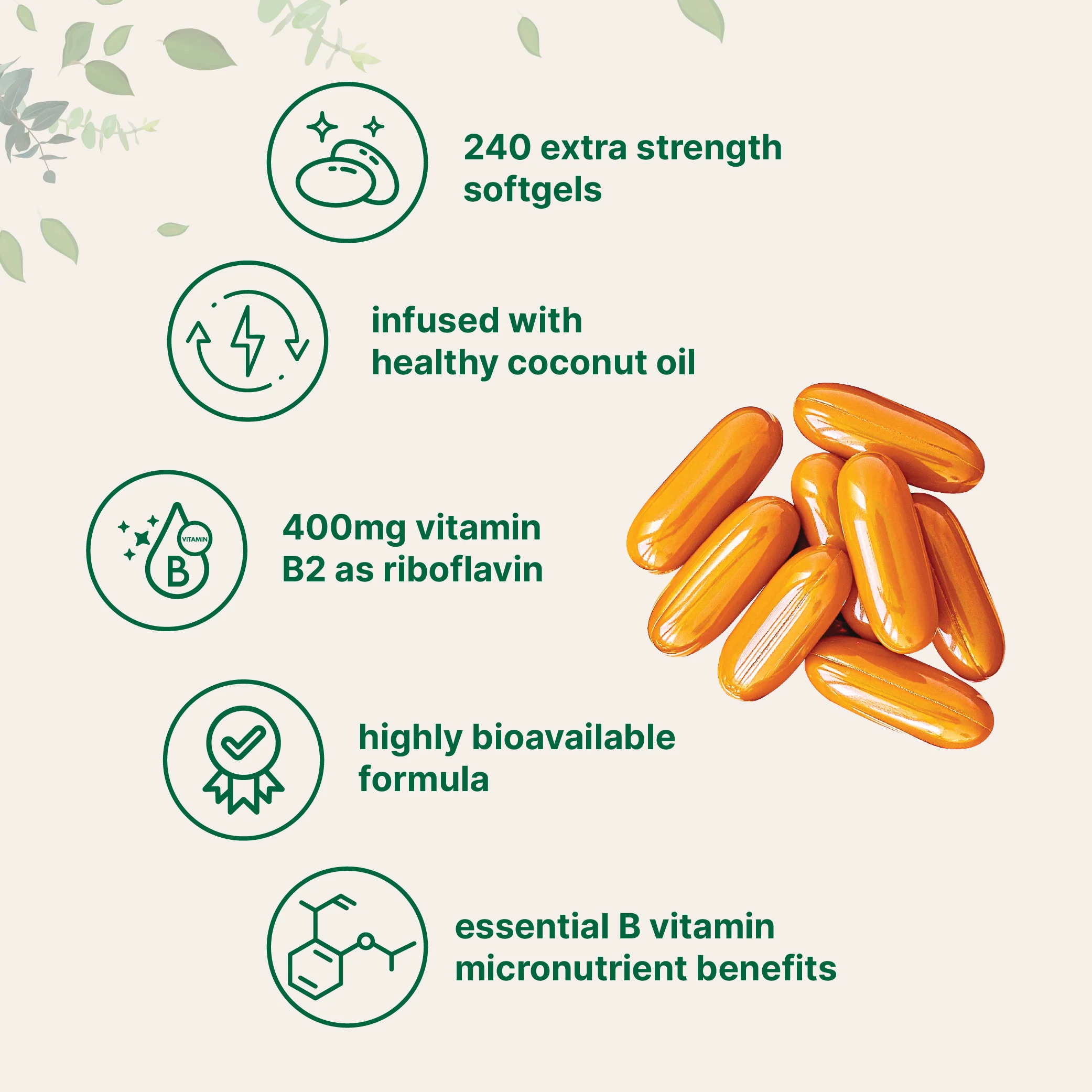 Micro Ingredients Vitamin B2, Riboflavin 400mg, 240 Softgels with Coconut Oil - Image 3
