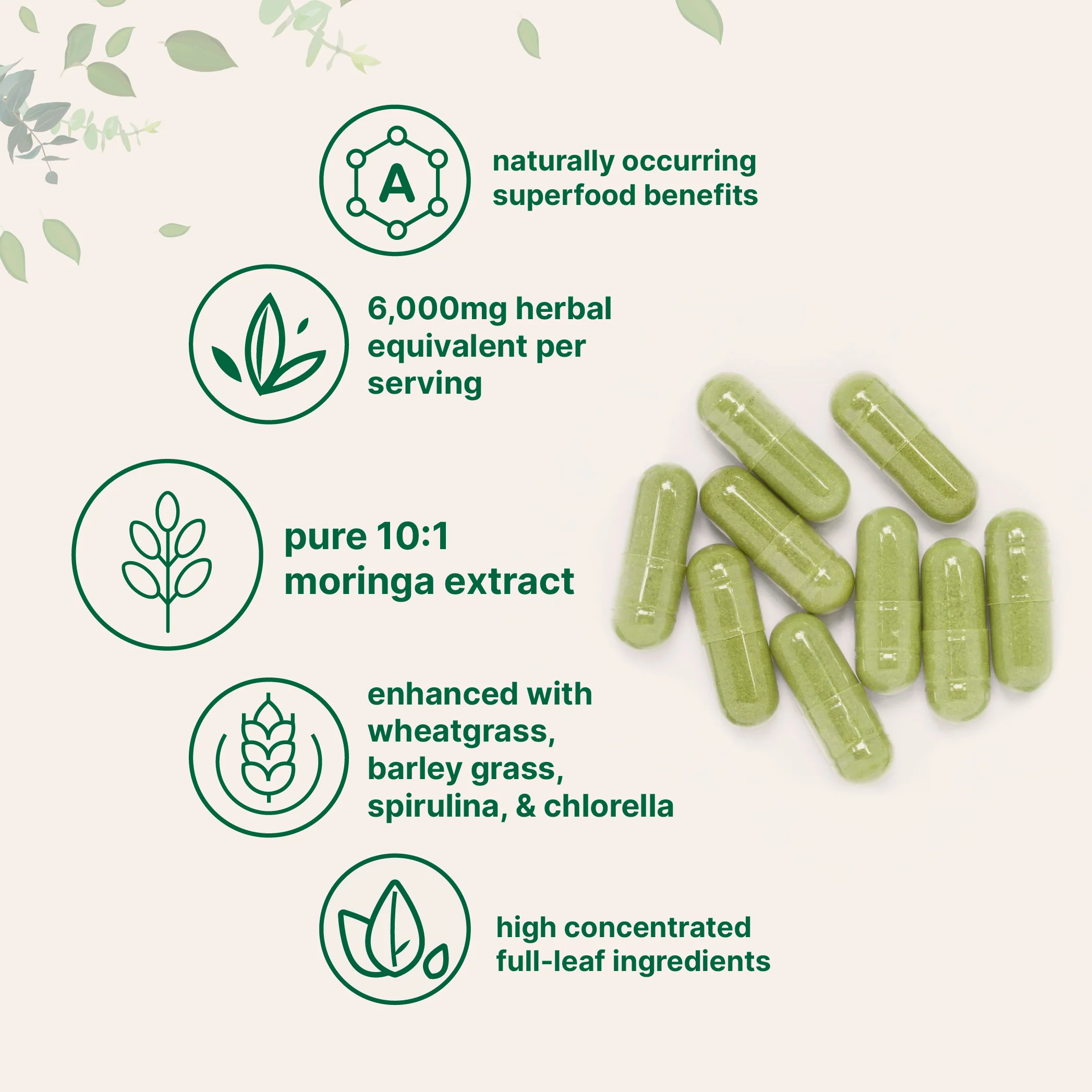 Moringa Oleifera, 300 Capsules with Supergreens Blend of Wheatgrass, Barley Grass, Spirulina, & Chlorella - Image 3