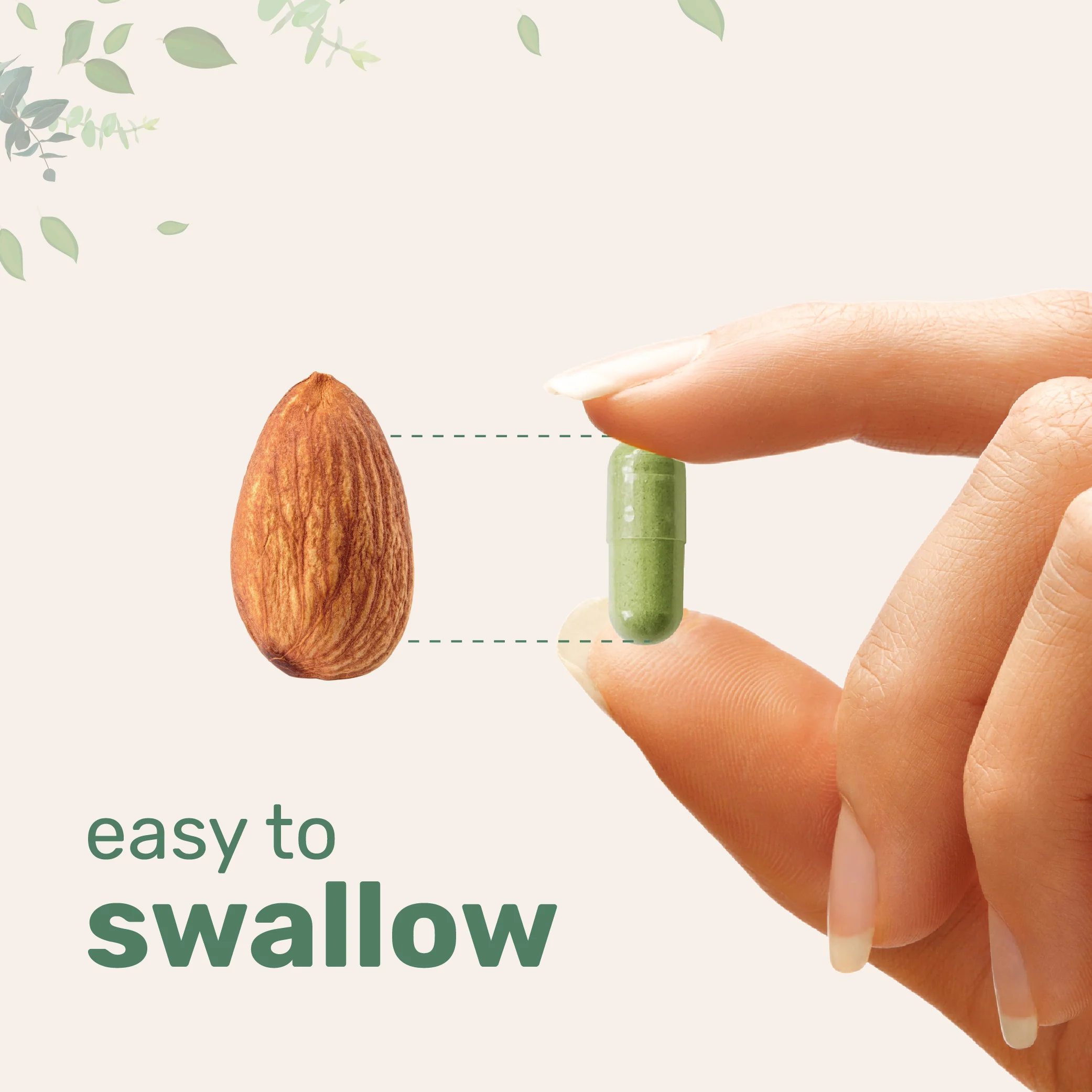 Moringa Oleifera, 300 Capsules with Supergreens Blend of Wheatgrass, Barley Grass, Spirulina, & Chlorella - Image 4